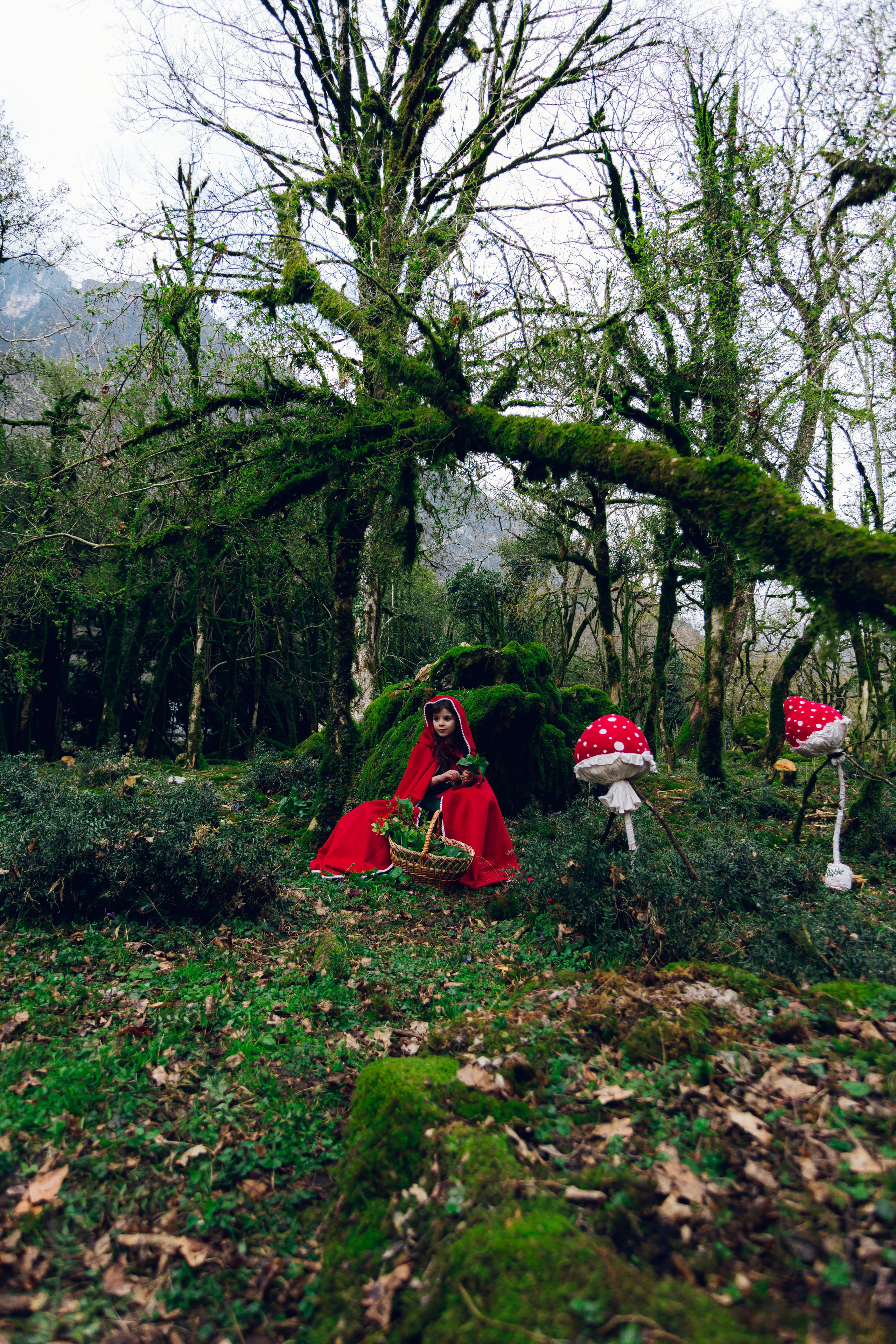 Самшитовая роща. Семейный и художественный фотограф в Тюмени Юлия Логинова