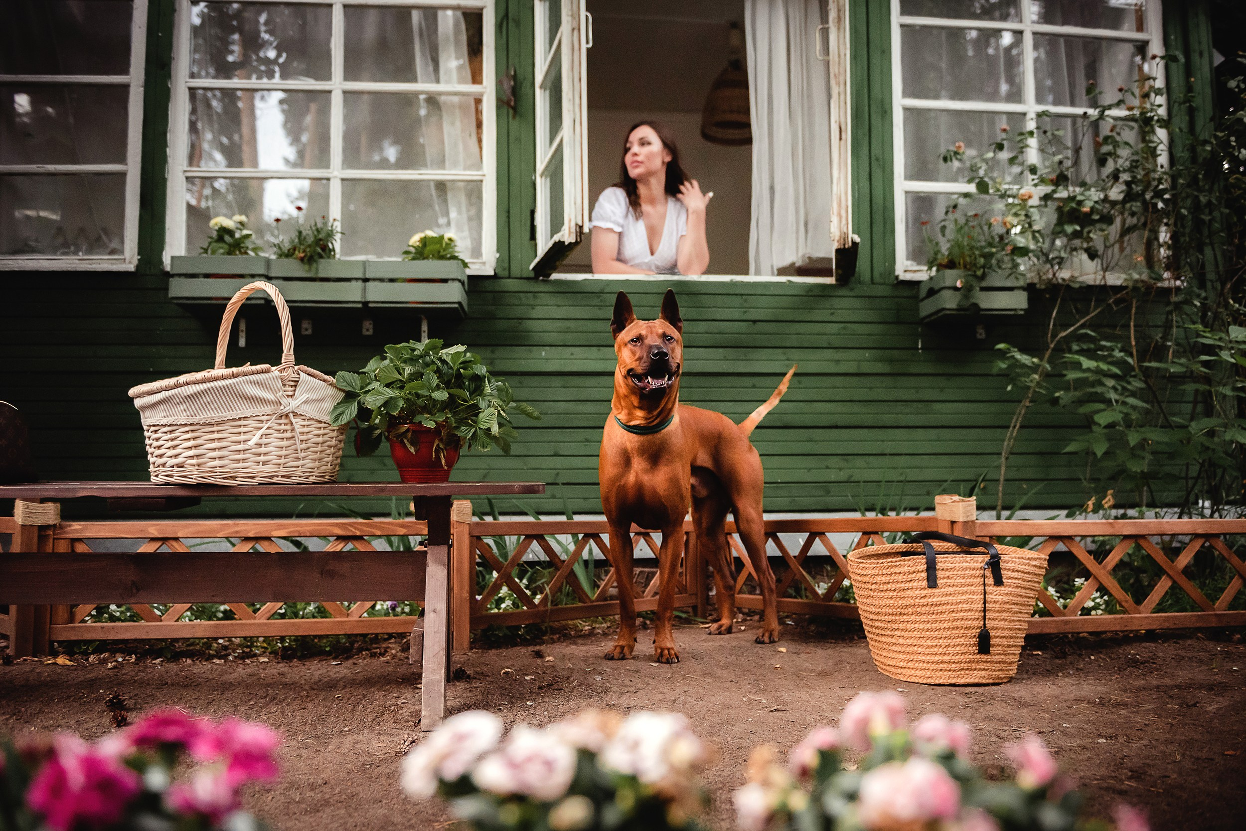 Оксана и Зевс на даче. Семейный Фотограф в Москве Ирина Хохлова