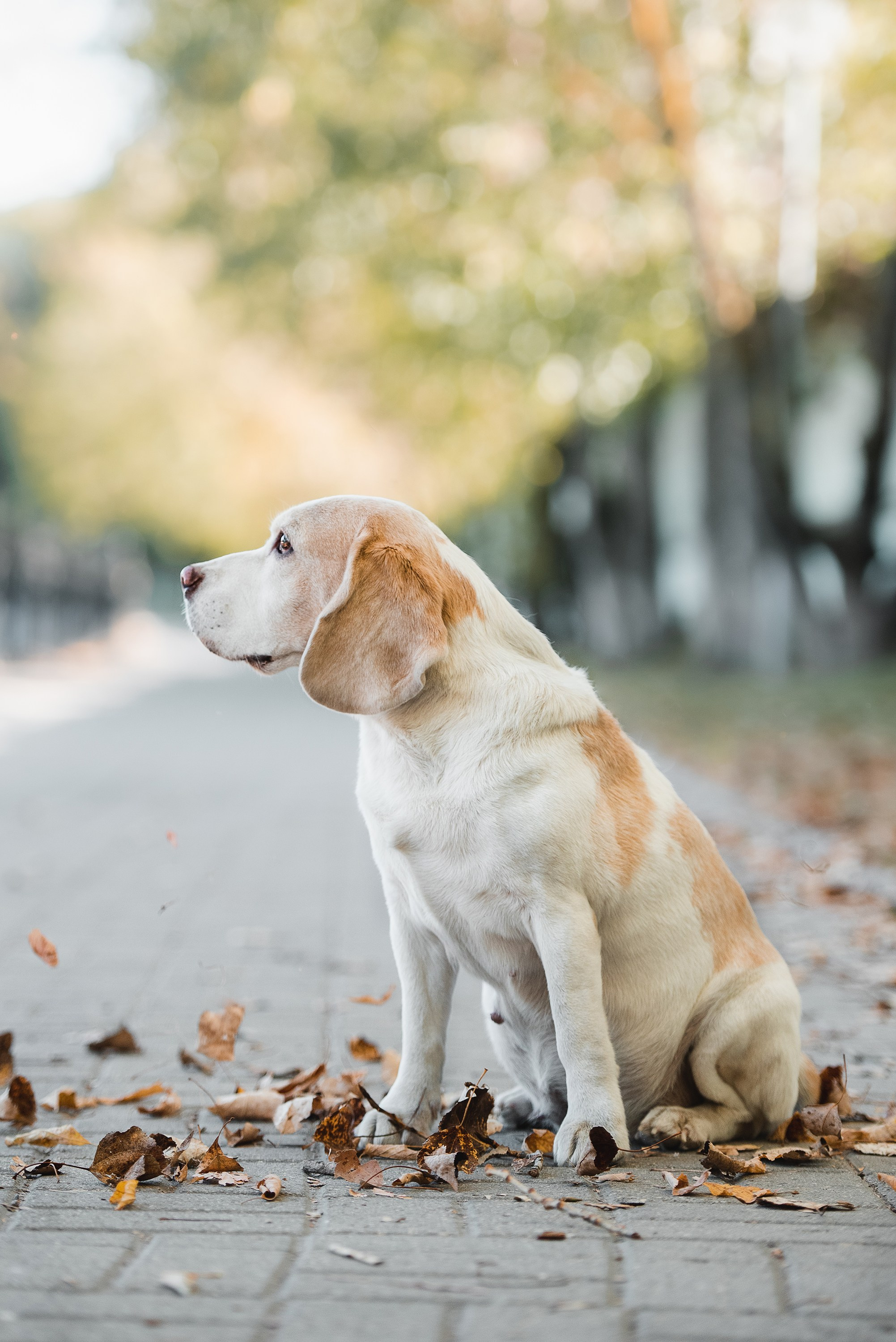 Оля и Ника. Семейный Фотограф в Москве Ирина Хохлова