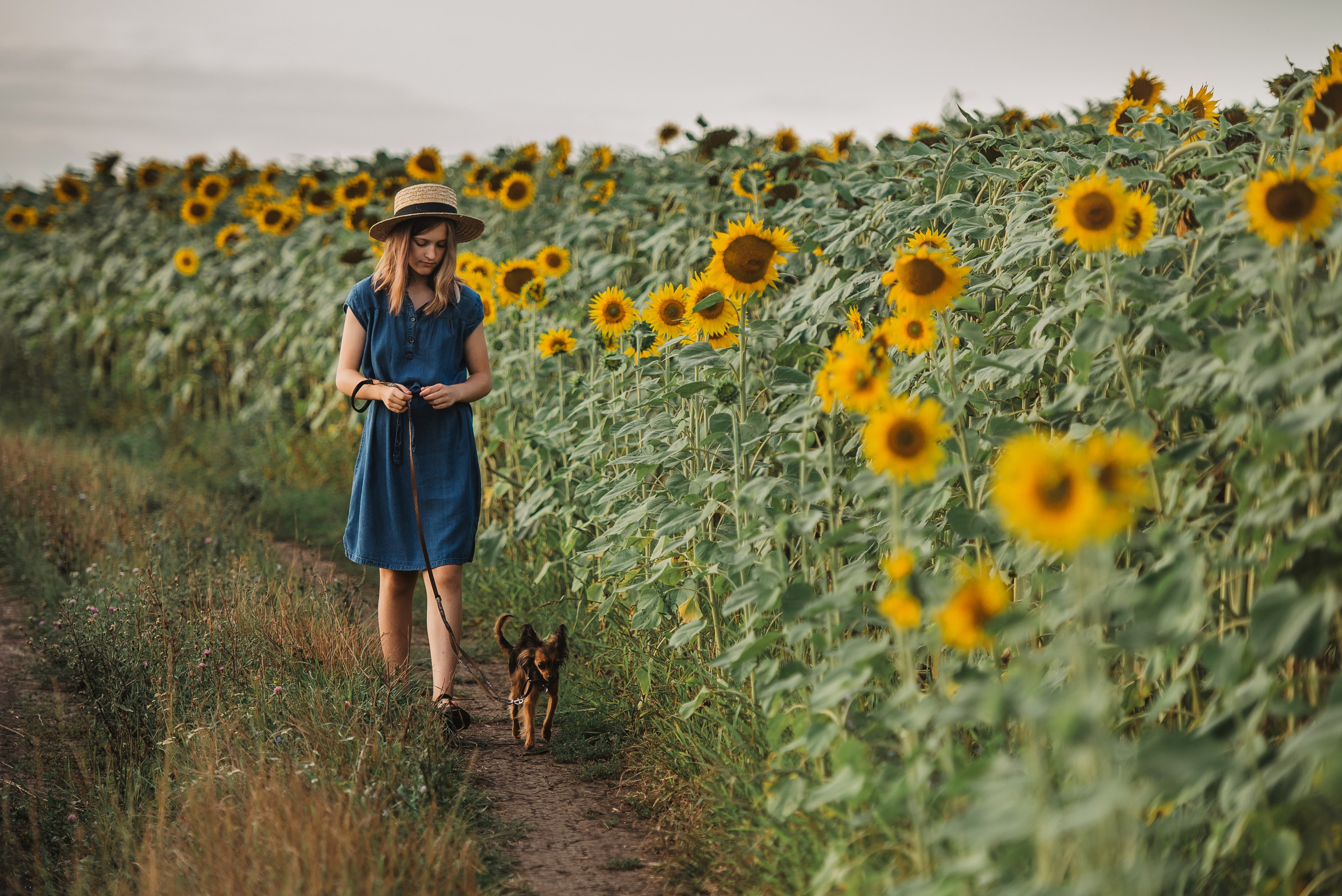 Прогулка в подсолнухах. Семейный Фотограф в Москве Ирина Хохлова