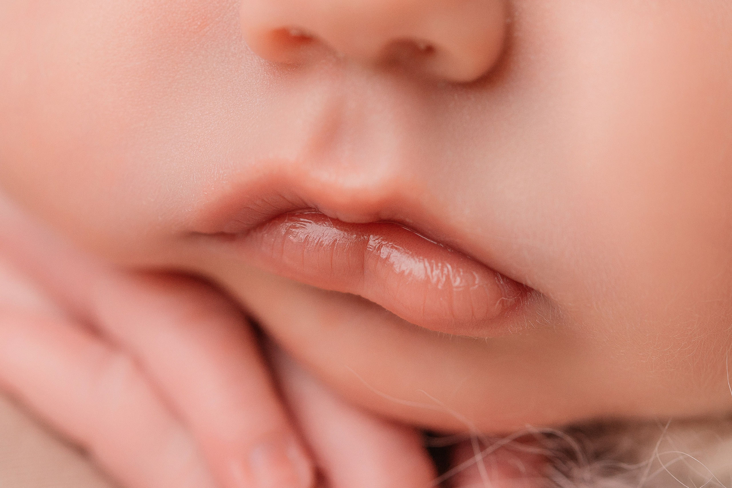 Лев. Фотограф новорожденных Белгород