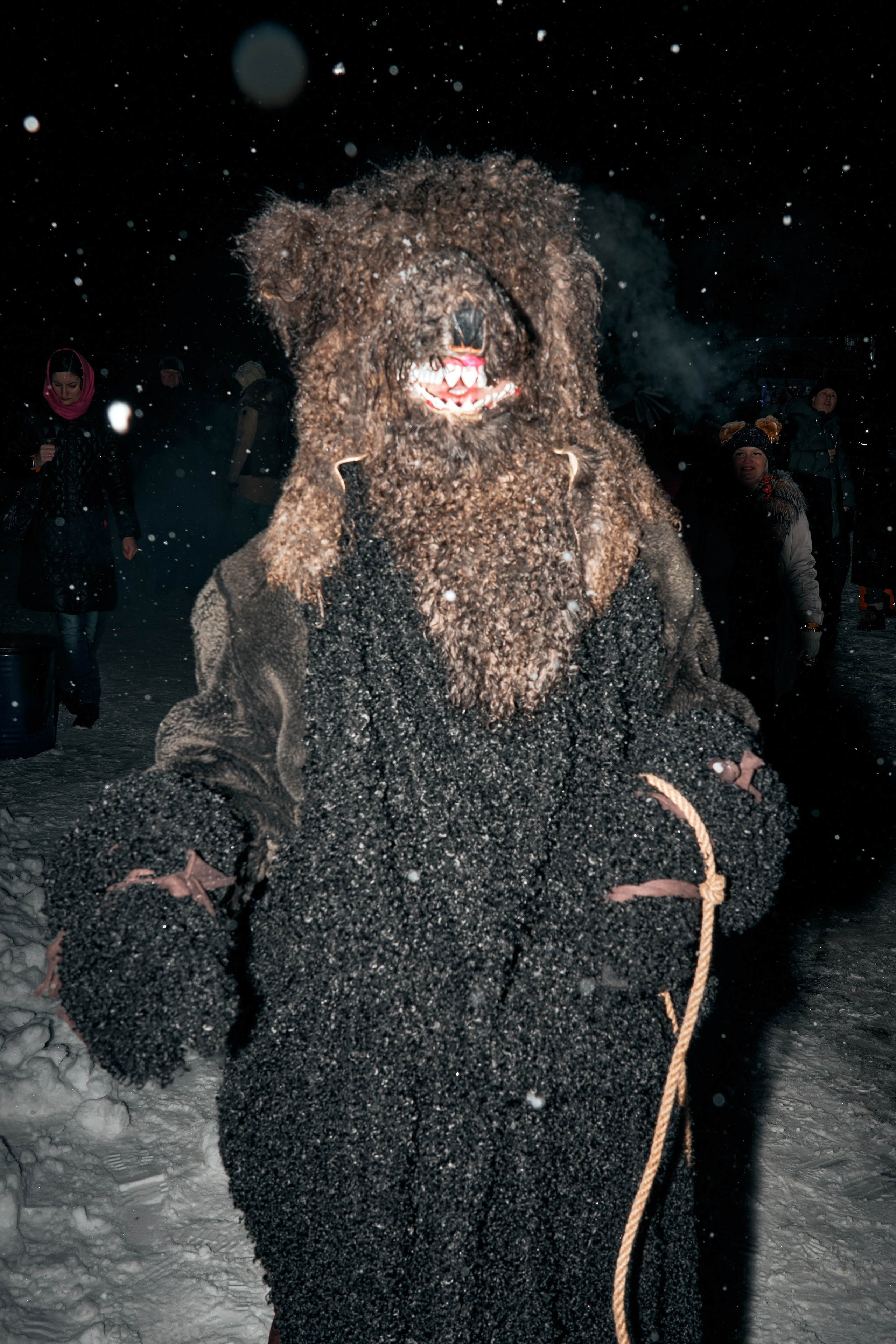 С медведем по соседям. Фотограф
