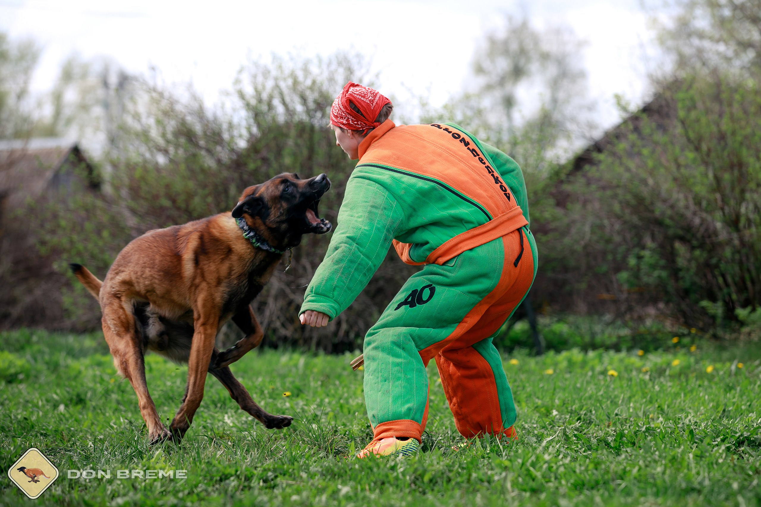 Семинар для фигурантов, день 2. Фотограф-анималист Mary Mart — Москва, Питер
