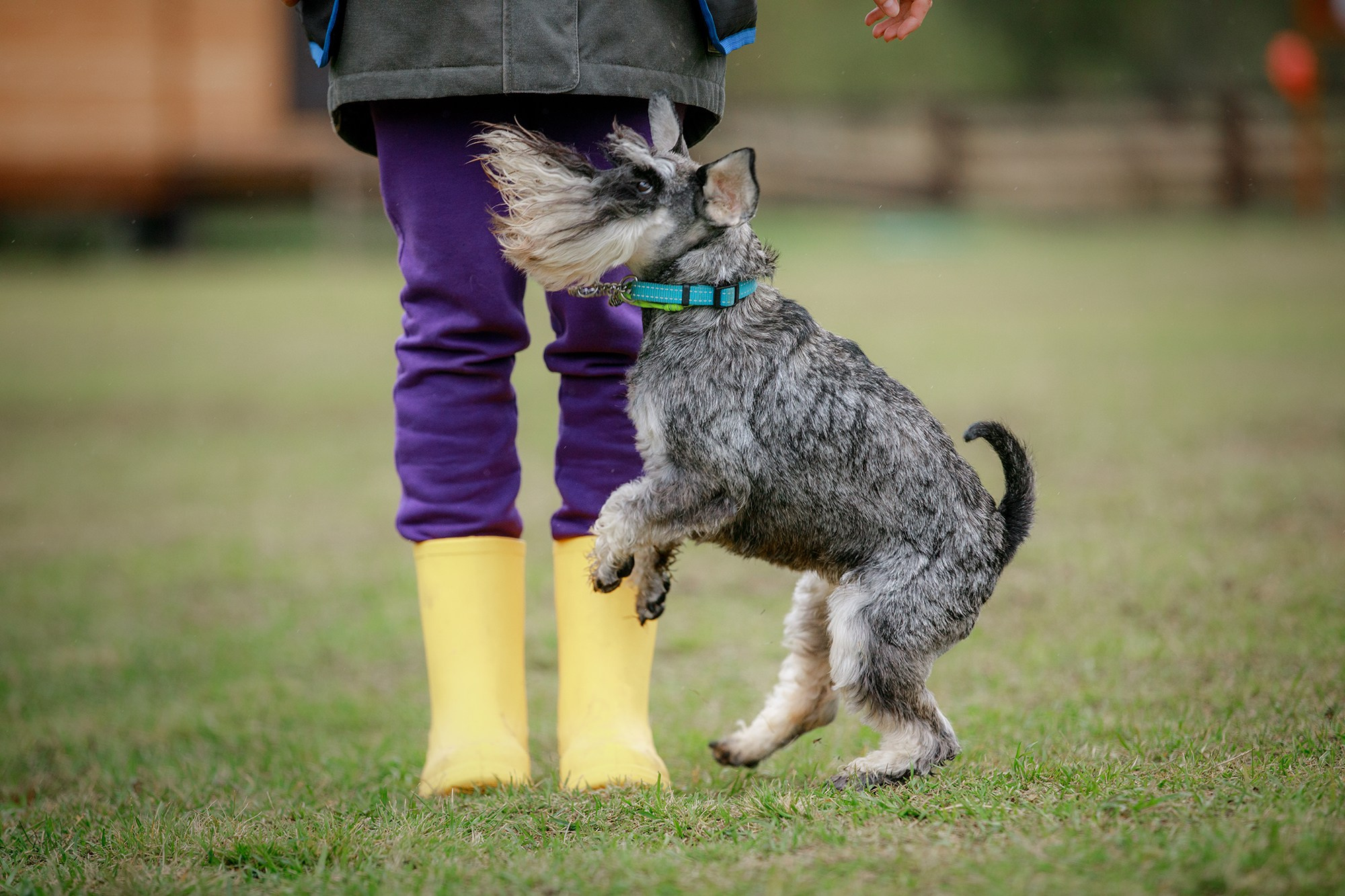 Лагерь по ОБД с Инной Баженовой. Фотограф-анималист Mary Mart — Москва, Питер