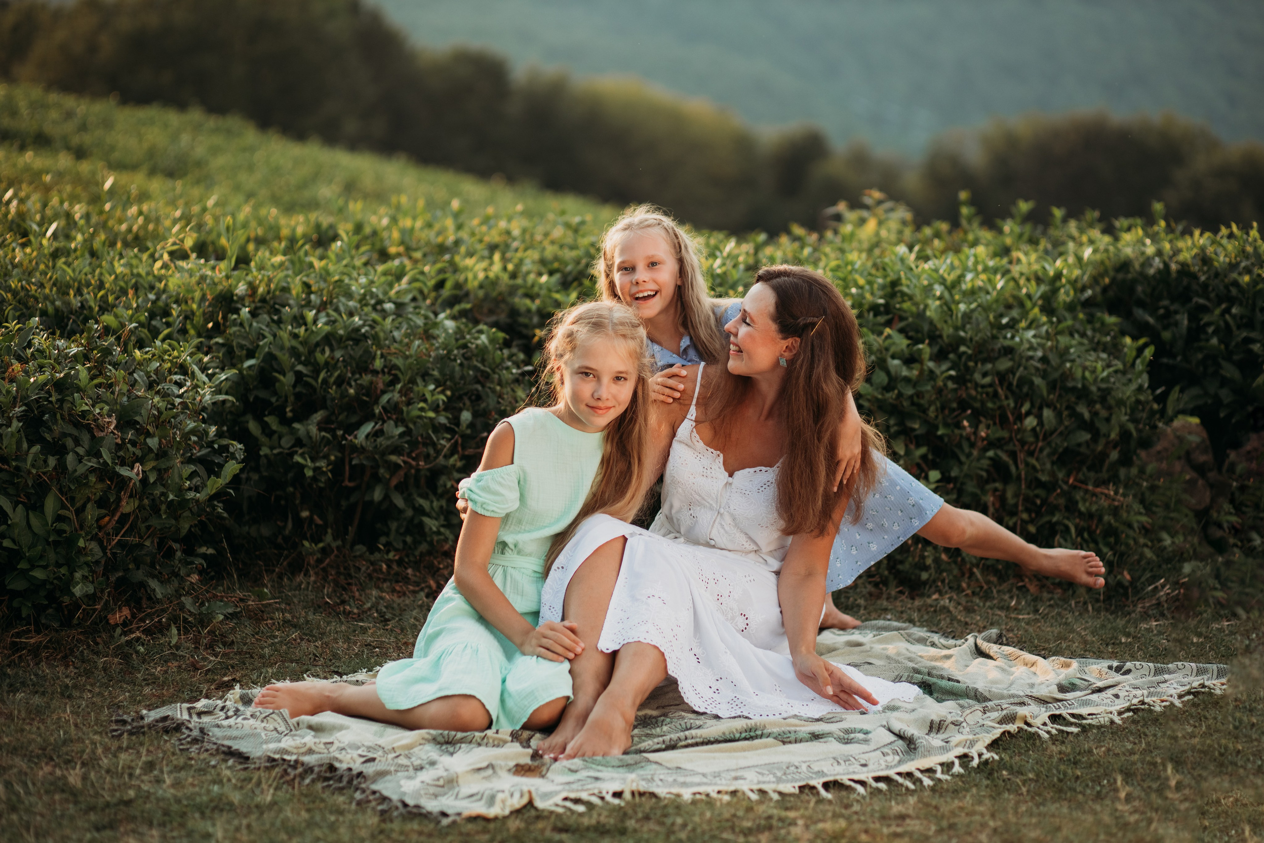 Чайные плантации мацеста. Фотограф Сочи Татьяна Зорина