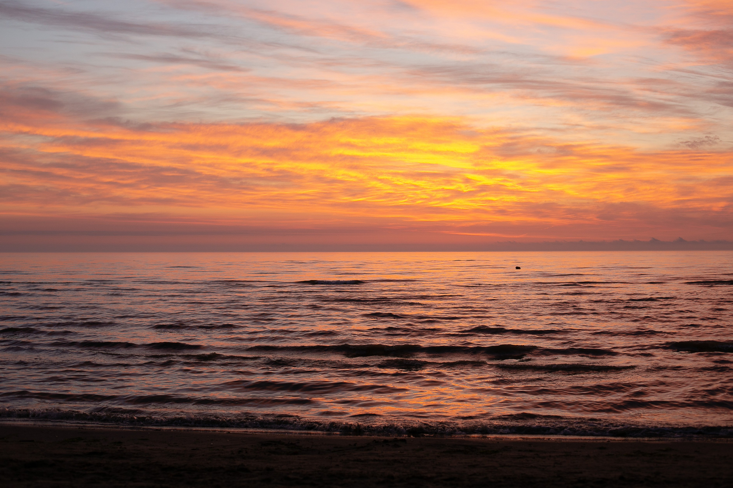 Портфолио. Davina_photograff