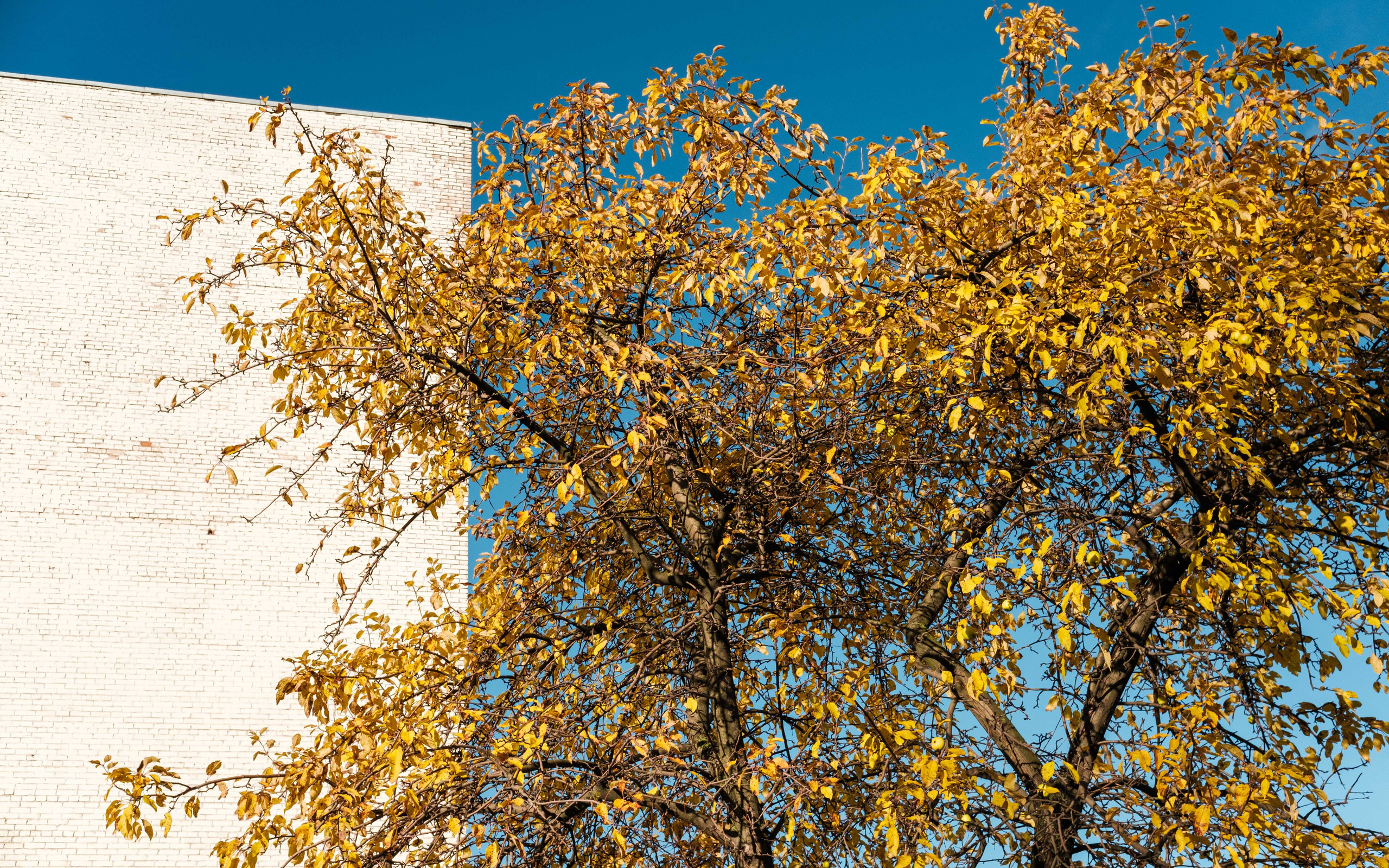 Уличный репортаж. Фотограф Балаев Михаил