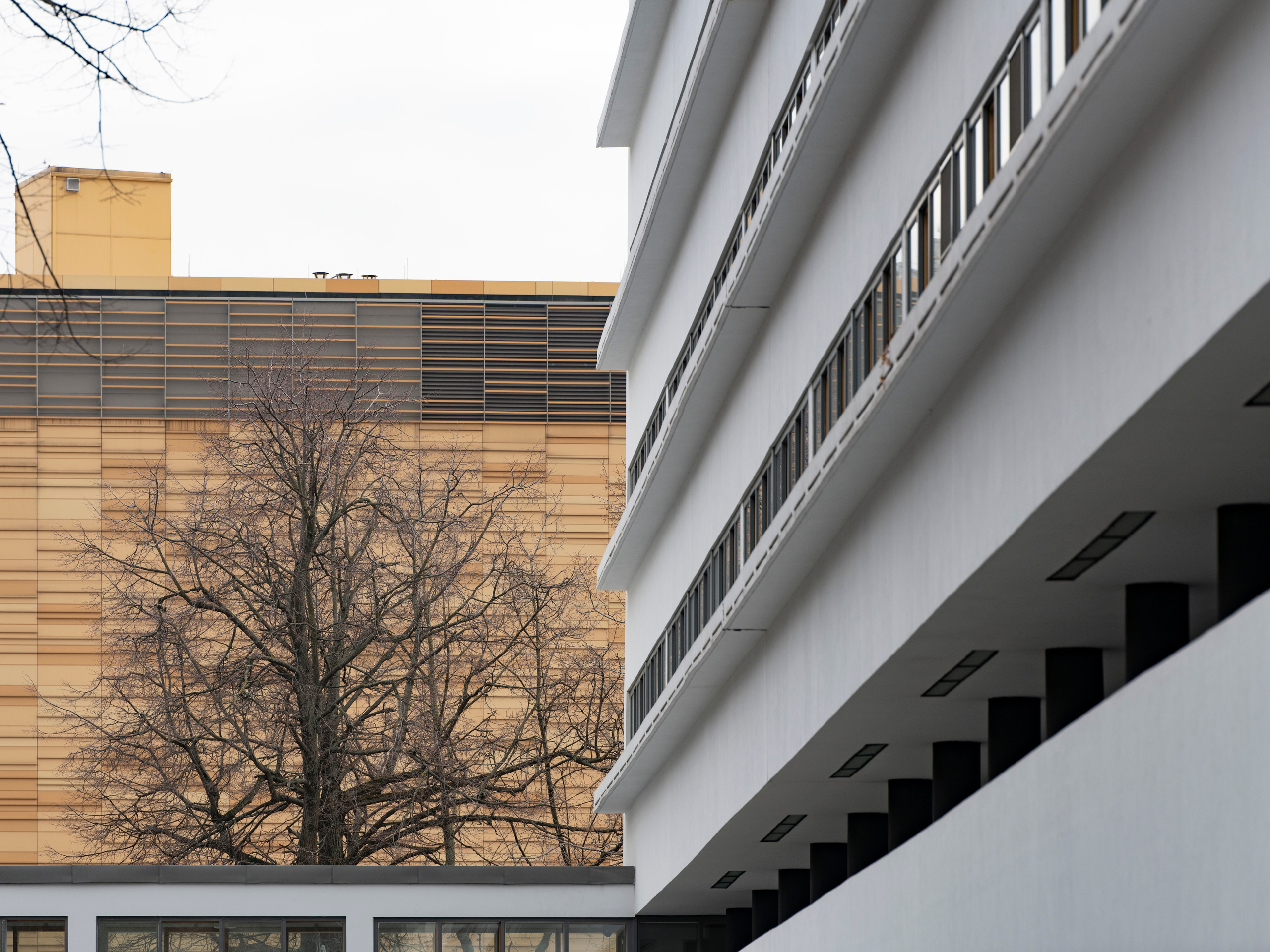 Дом Наркомфина. Фотограф в Москве. Шахабудин