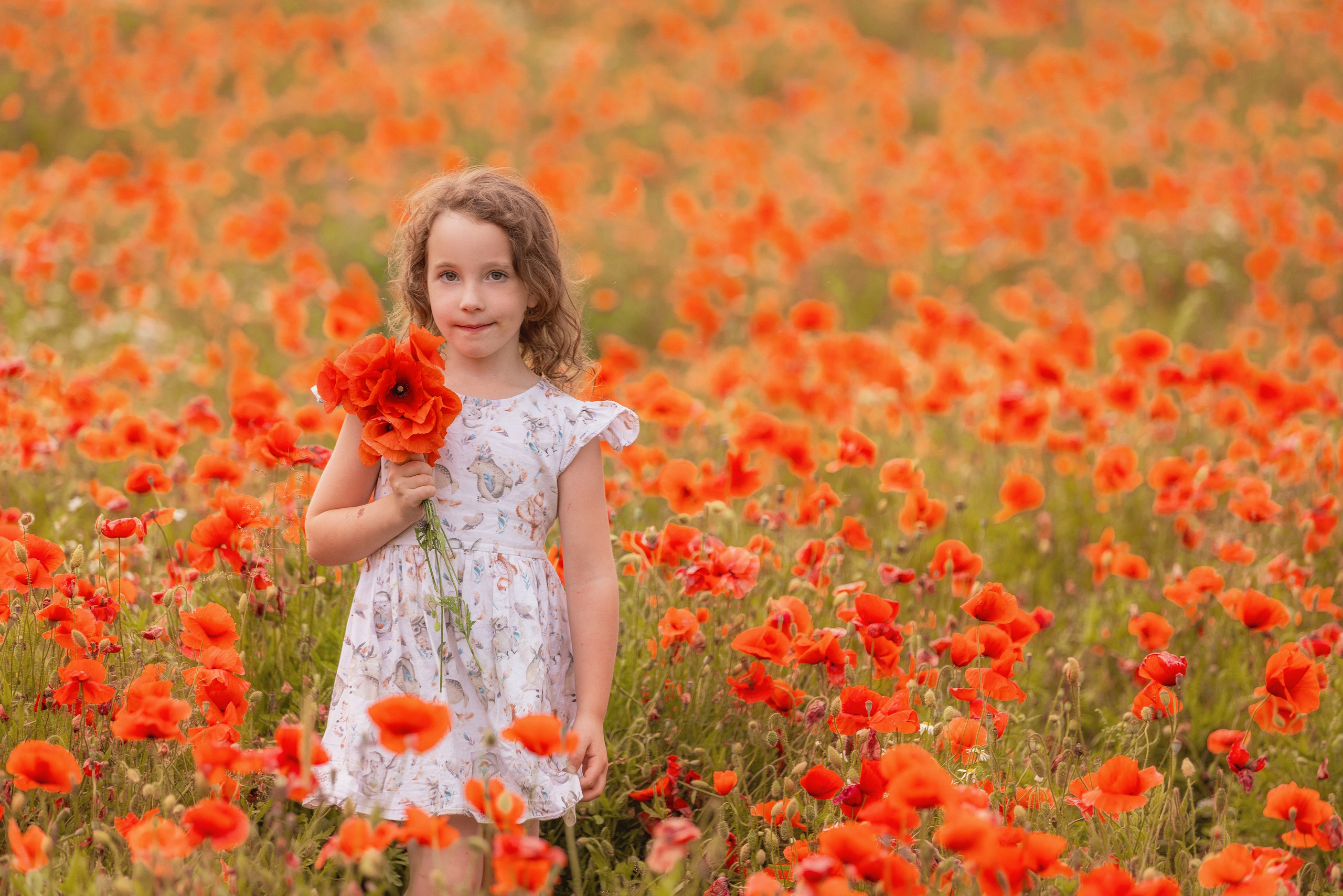 Маки 2024. Фотограф Алена Звездина