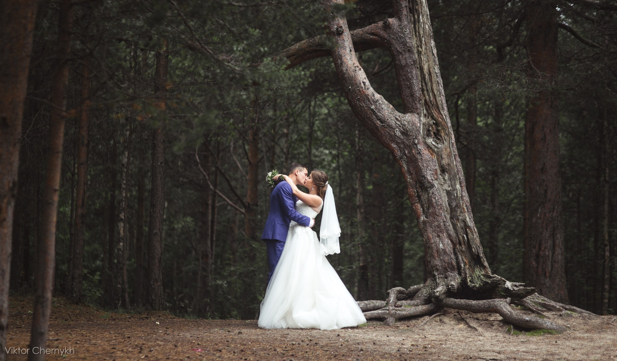 Свадебное портфолио. Виктор Черных