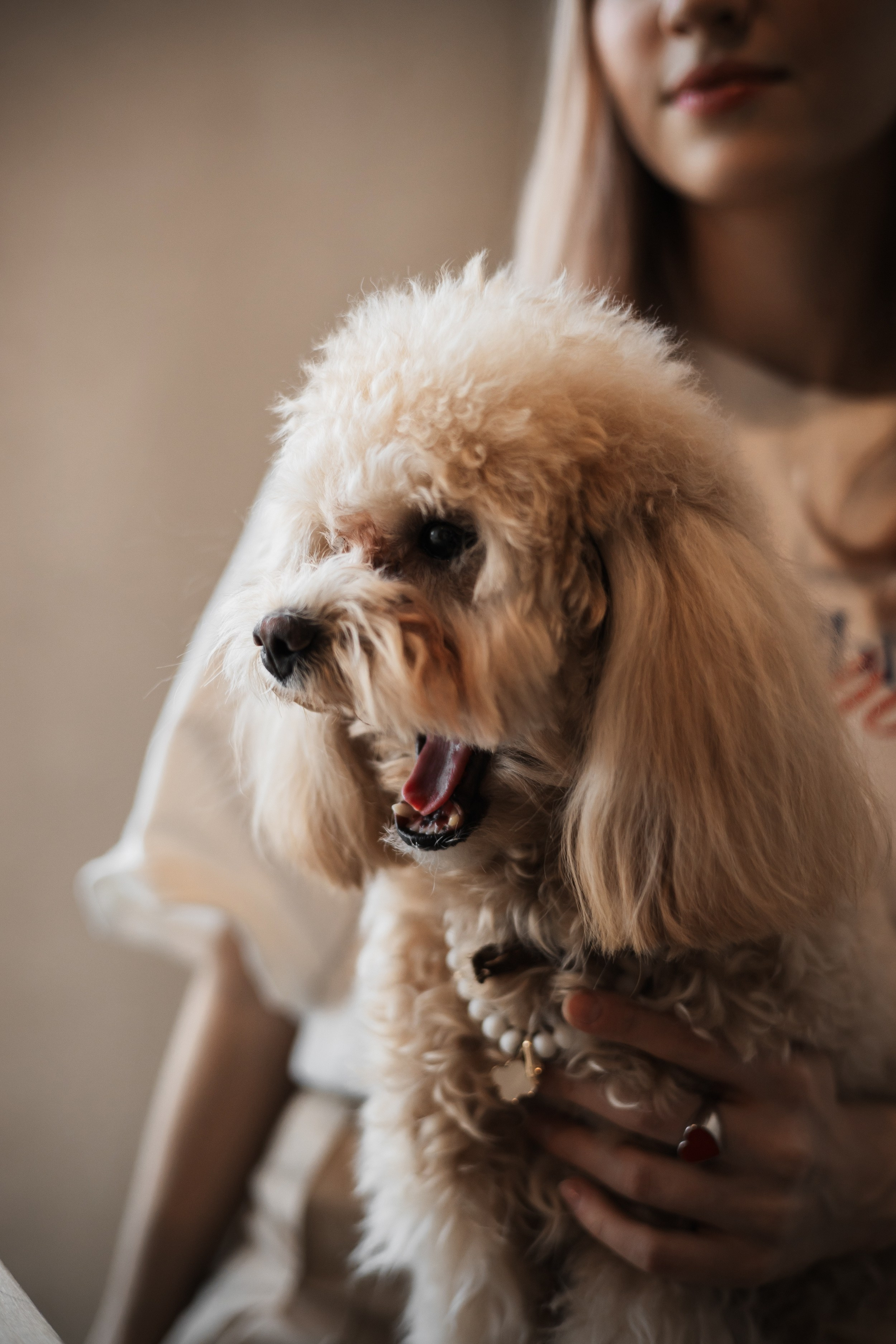 Алина — прогулка