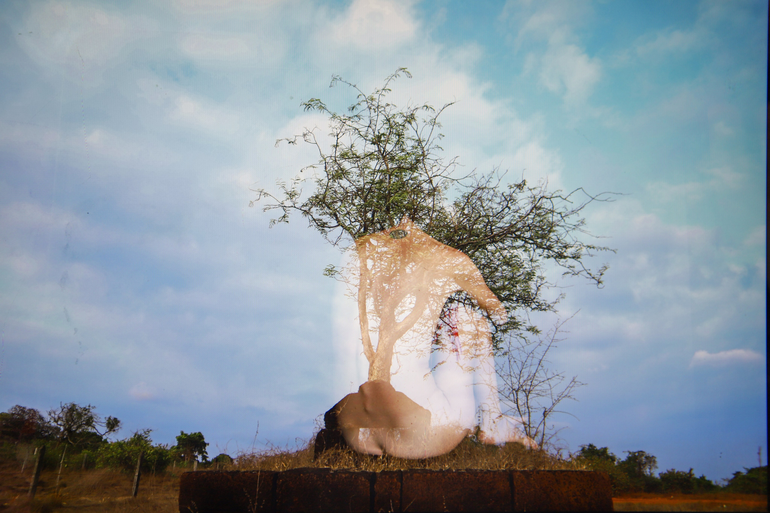 «Стержень» Стержень — как дерево, растущее изнутри, сквозь кожу, сквозь тонкость и уязвимость, через всё, что прожито