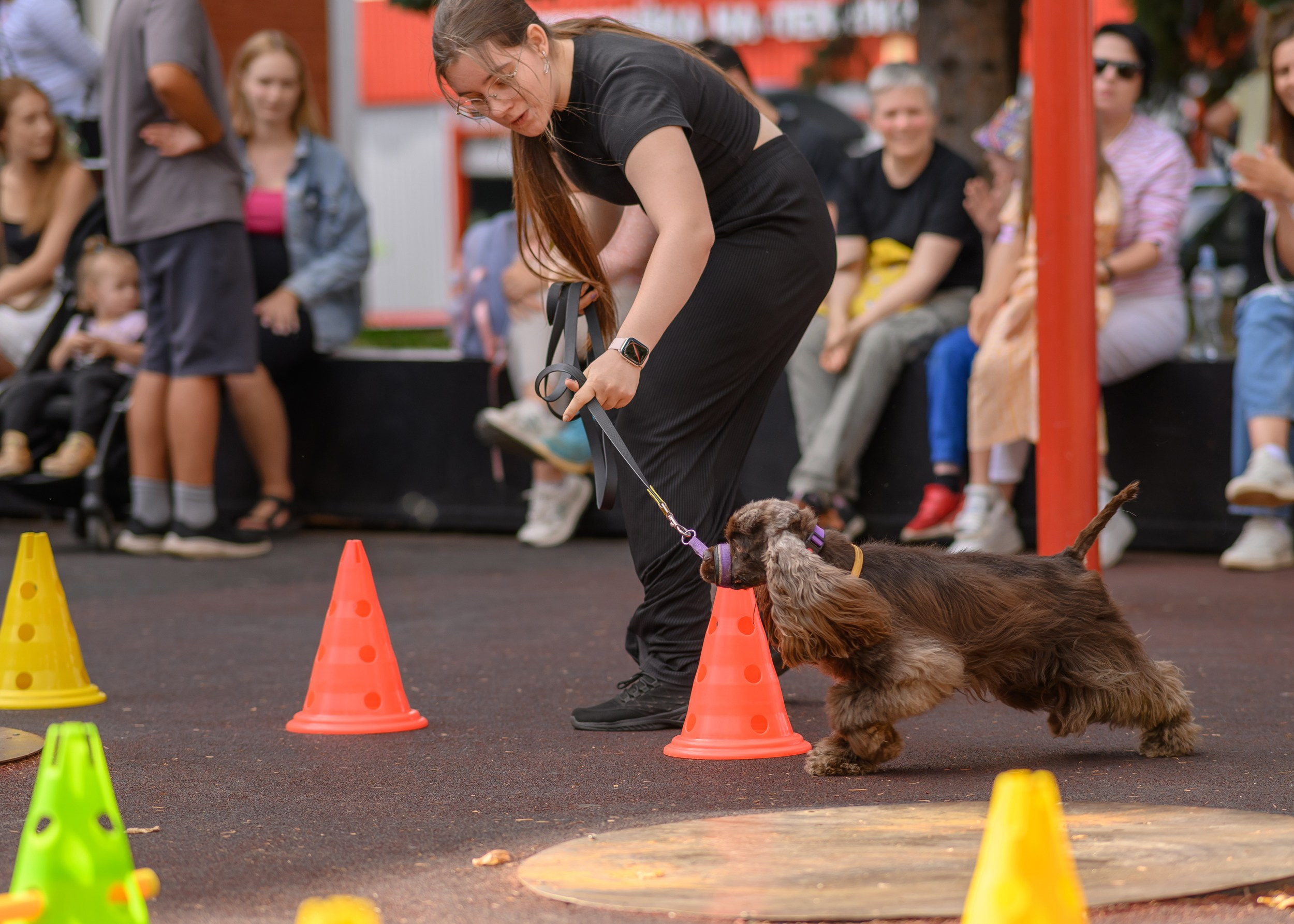 СобачийФест_РынокНаГоре_10082024. Фотограф Александр Данилов