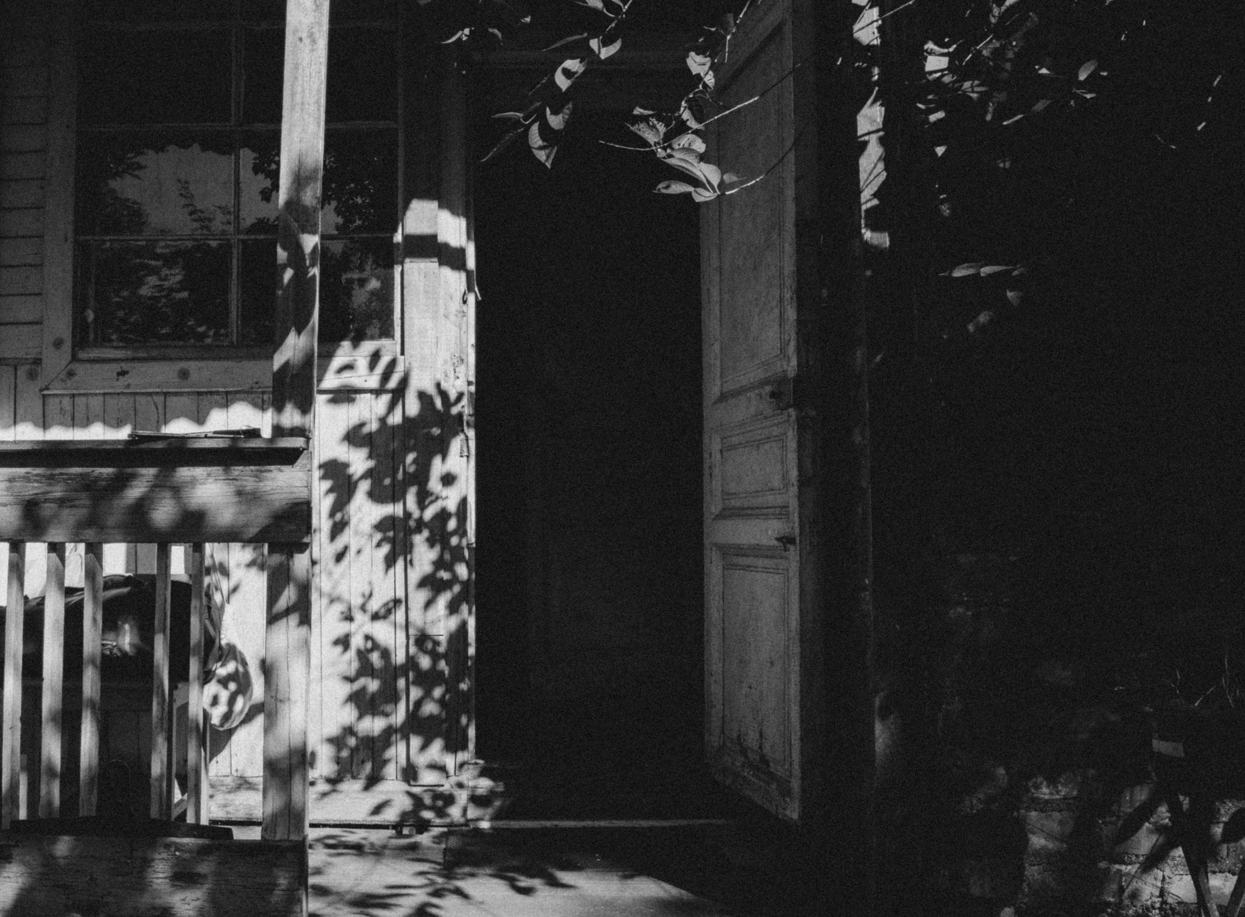 Фотограф Светлана Терентьева
