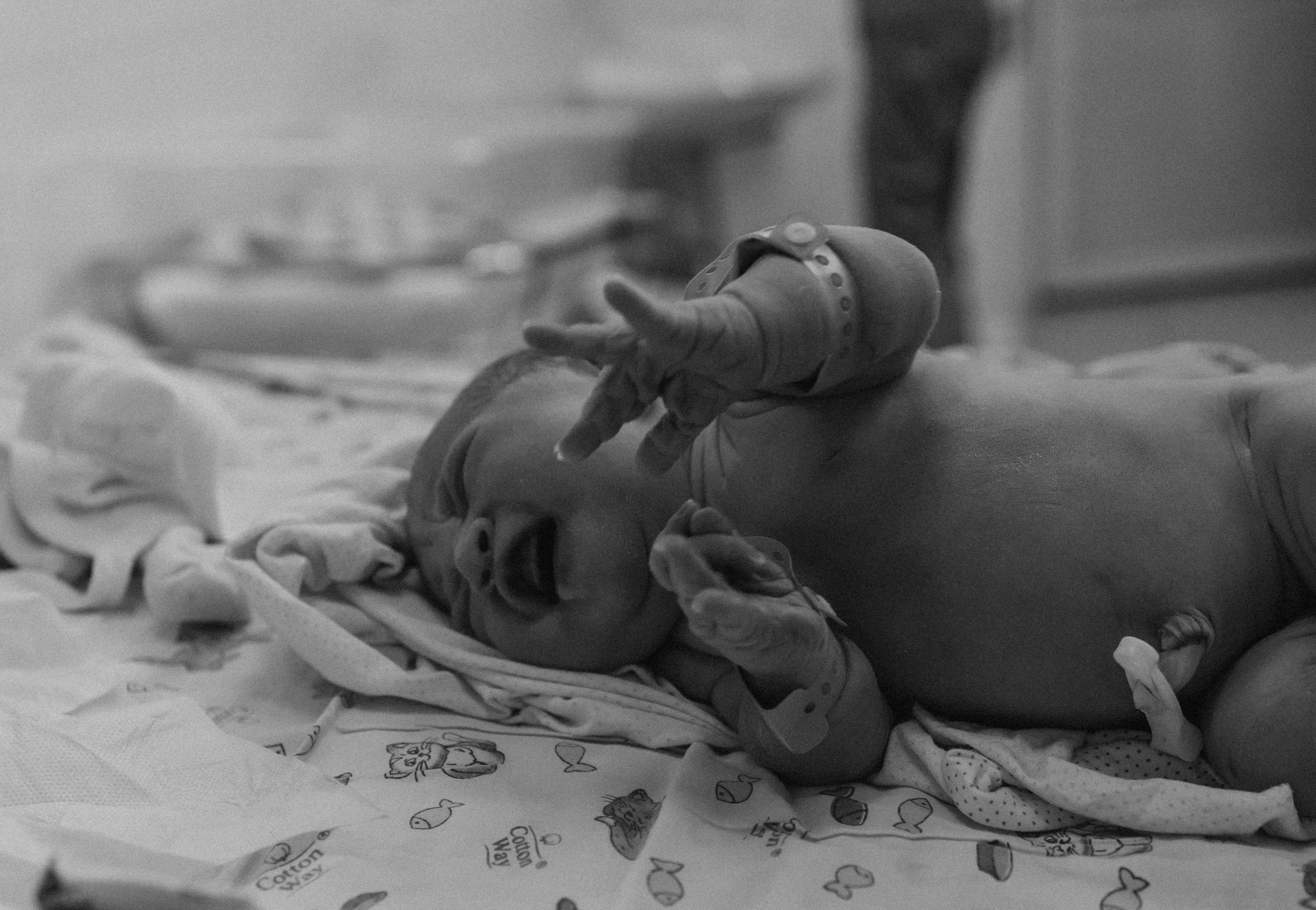 Каролина. Семейный фотограф Нижневартовск Тюмень Ефимова Ирина