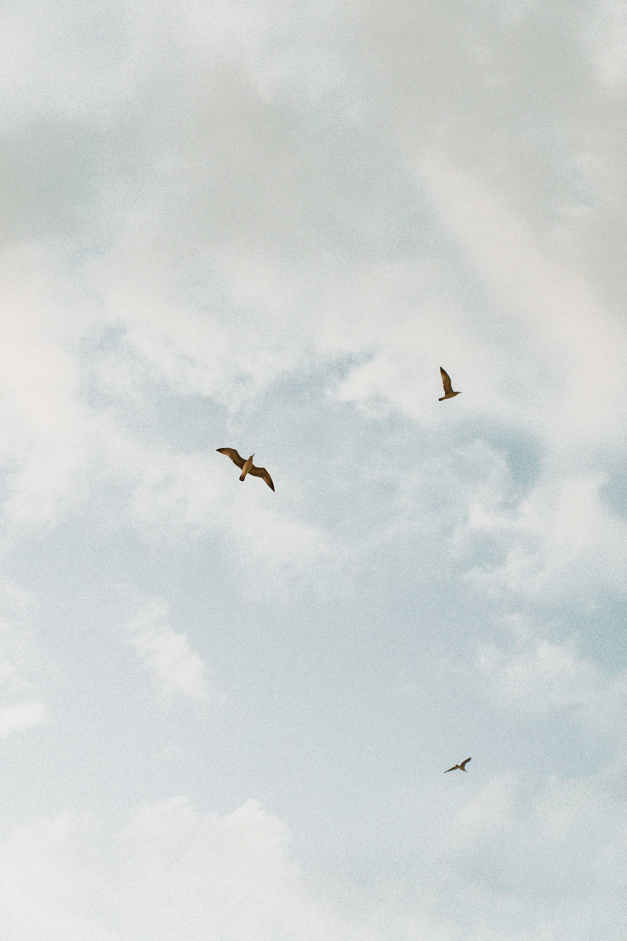 Вера. Семейный и женский фотограф в Белгороде Мария Алексеева