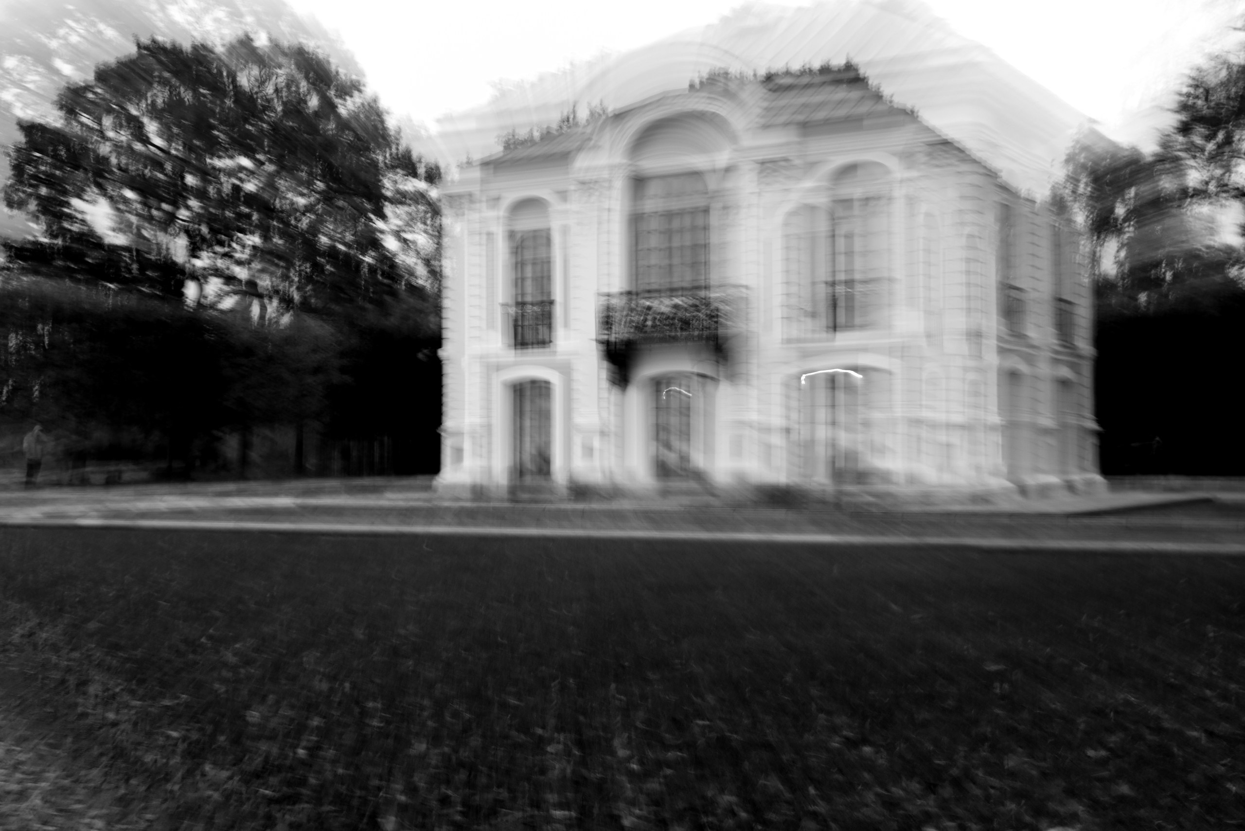 Сад снов. Катерина Михеева