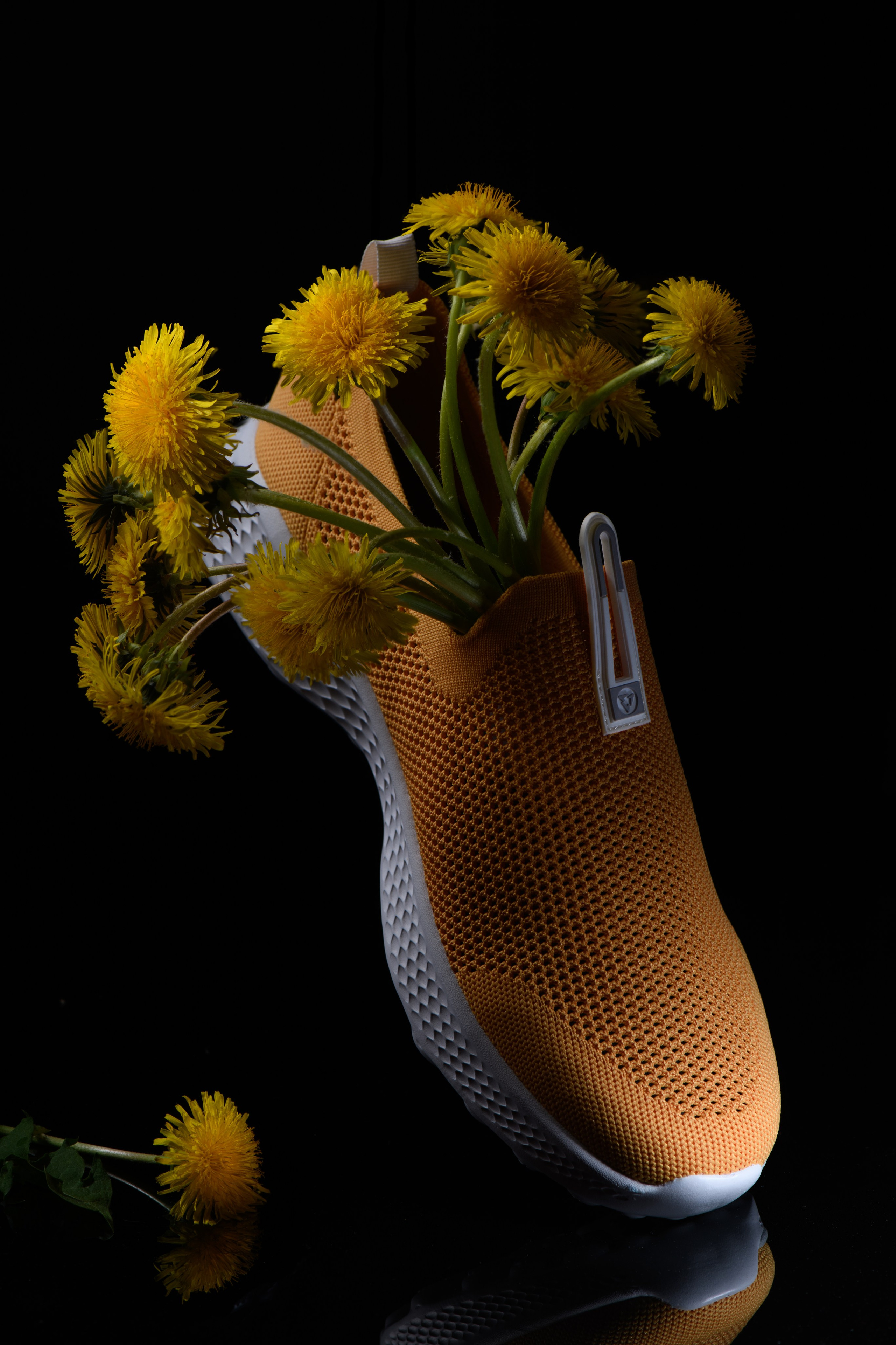 КАТАЛОГ. Профессиональный фотограф в Минске Николай Герасимов