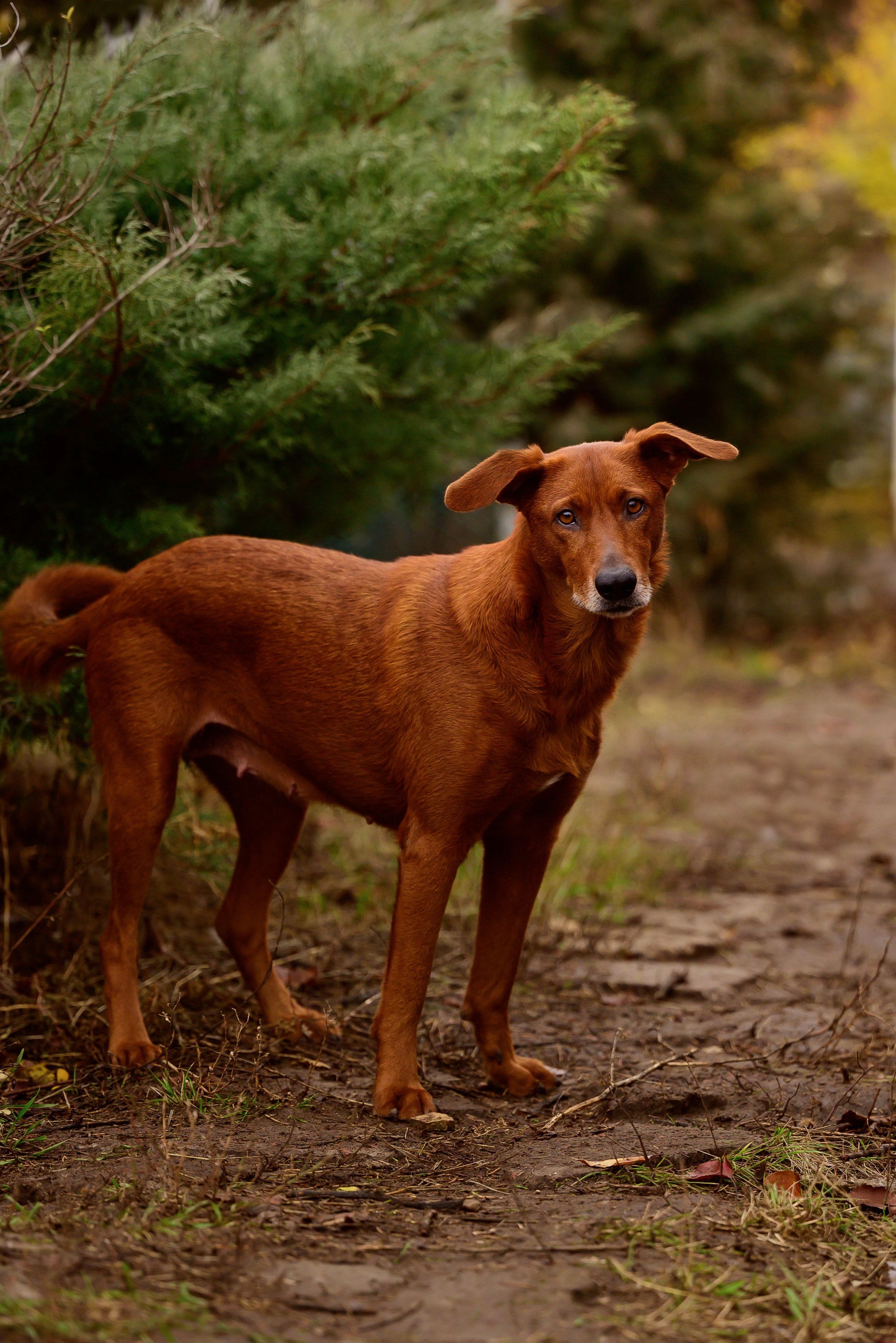 Круассанчики. Мила Астахова
