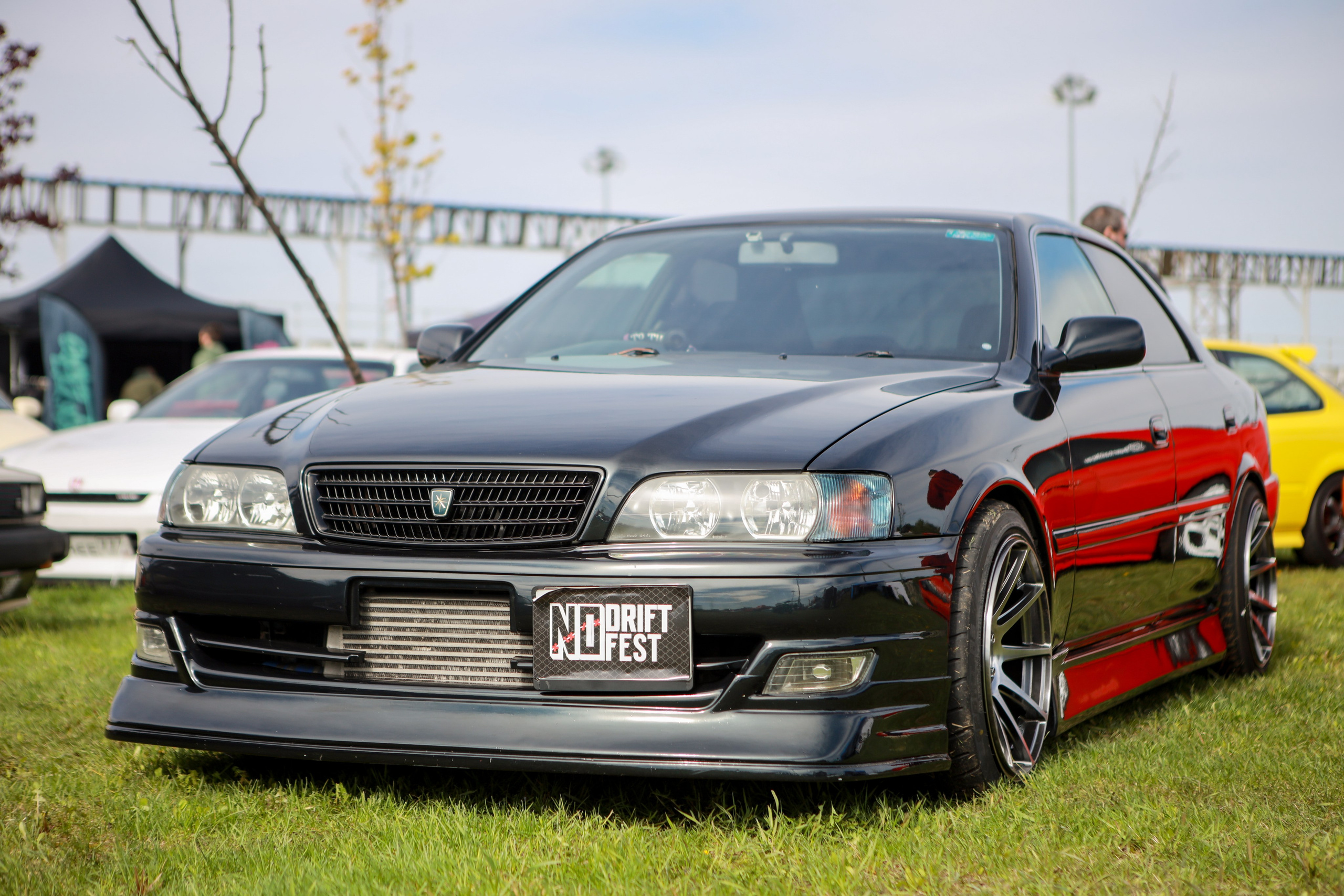 NDNF 2024. Свадебный фотограф Расторгуев Дмитрий