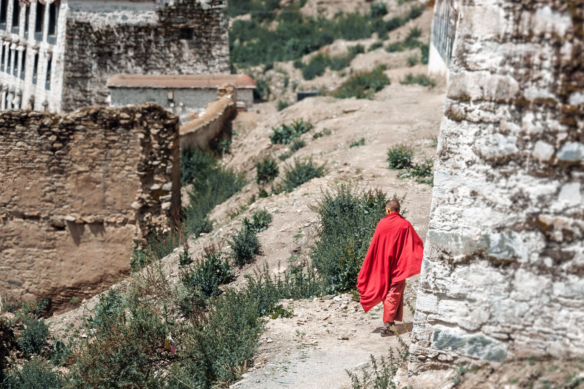 Тибет вершина мира. High-quality interior photos for your home, office, hotel