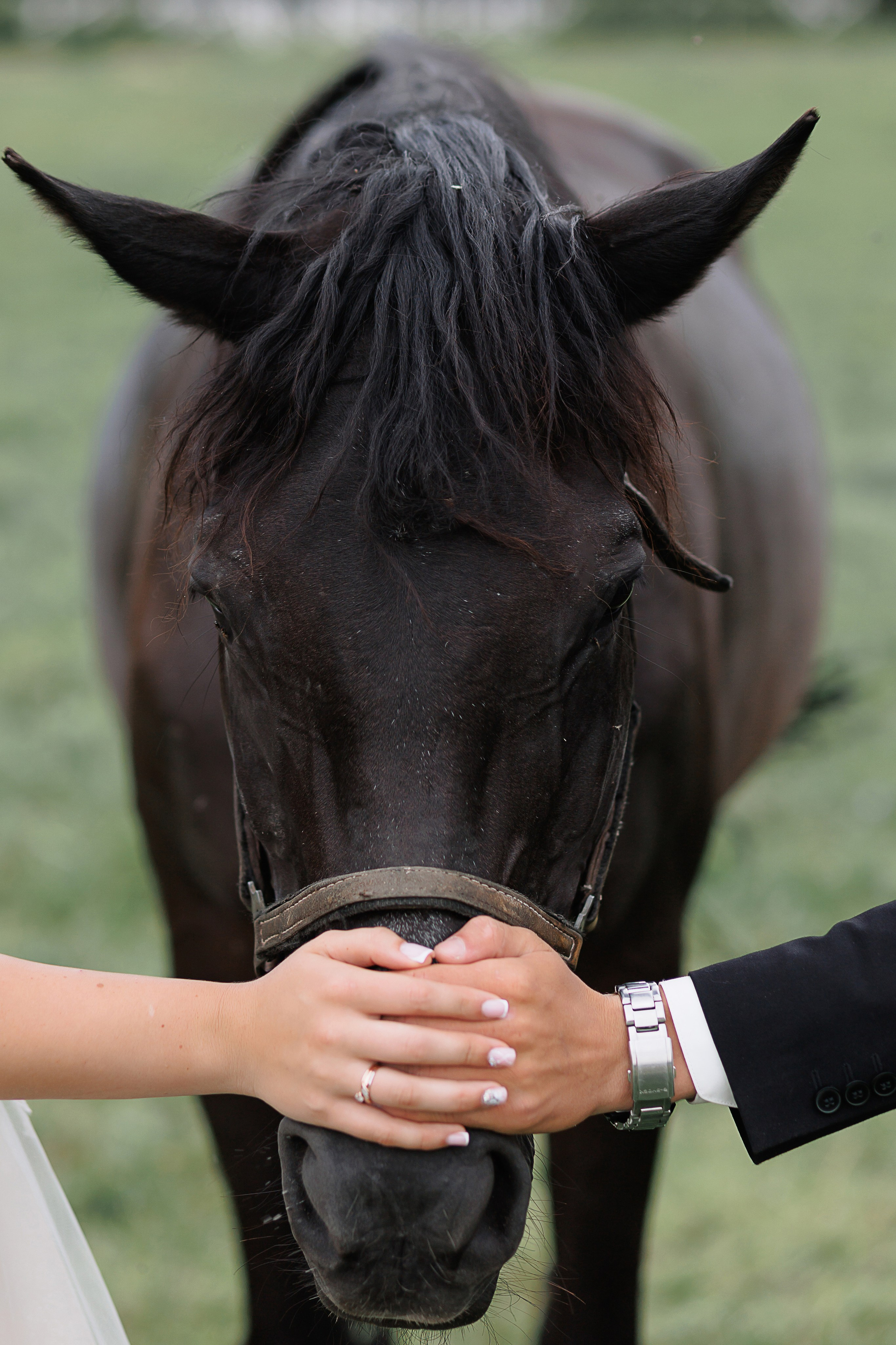 Антон и Диана. Свадебный и семейный фотограф в Твери и Тверской области