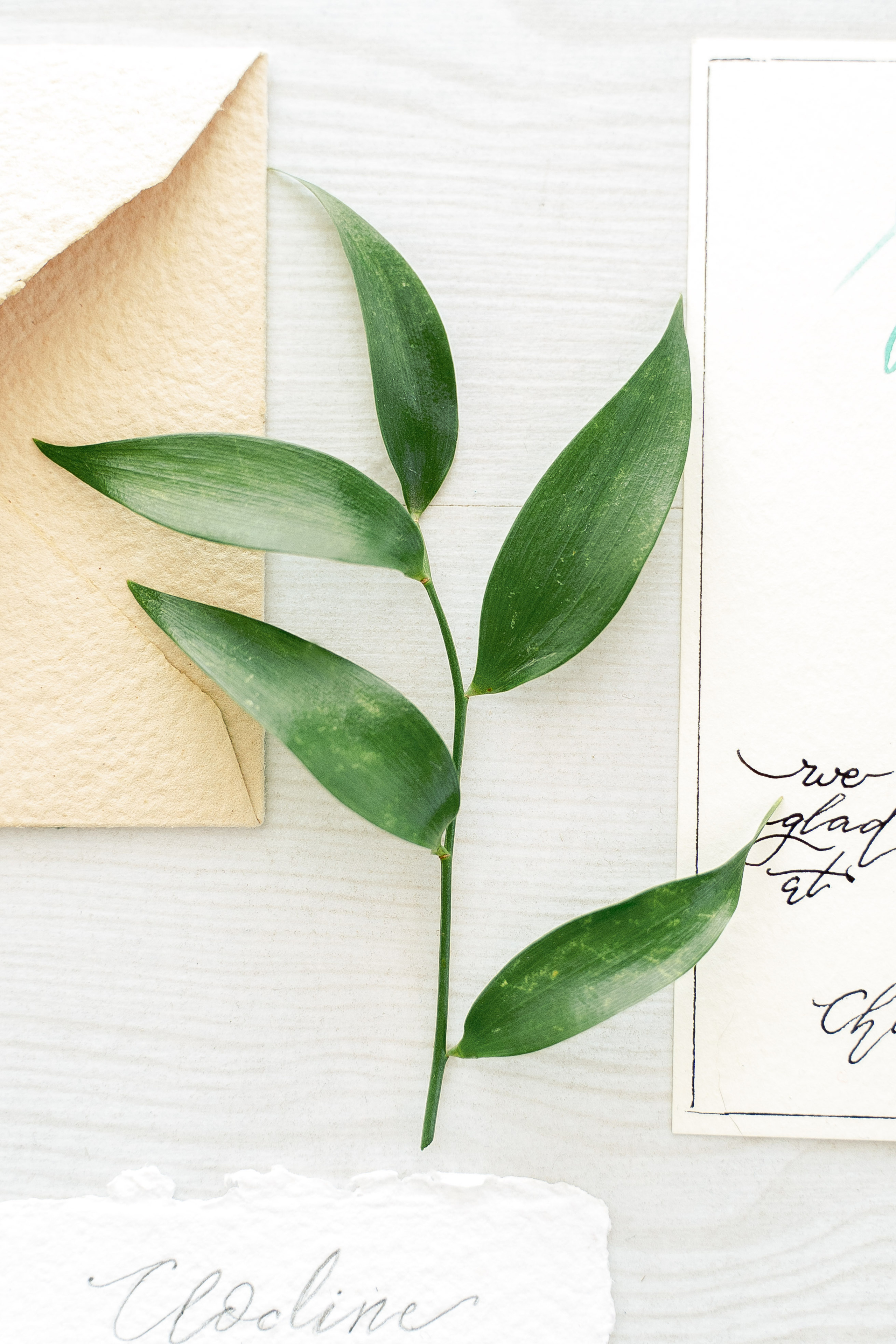 Свадебный фотограф Москва. Фотограф Москва — Павел Михайлов