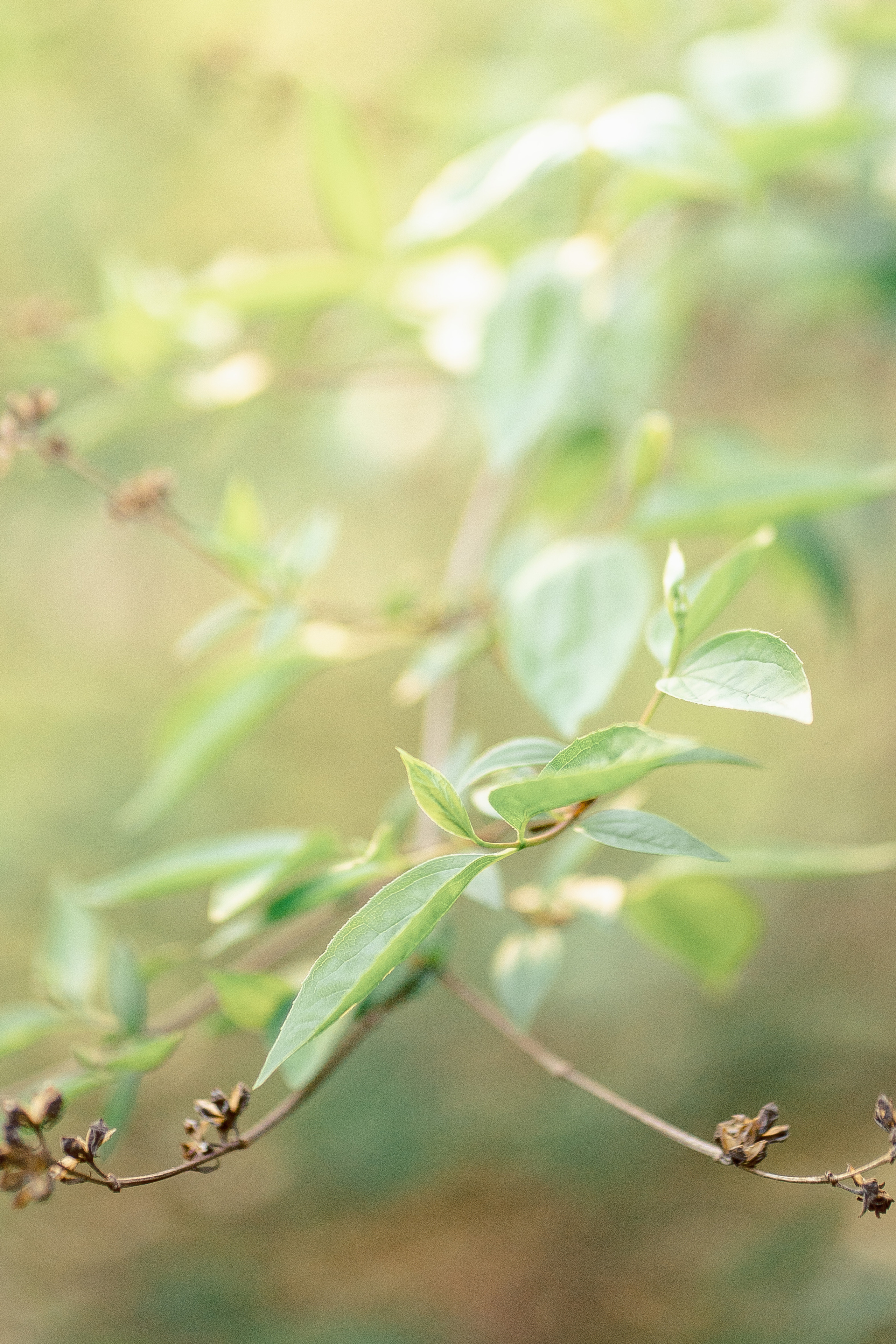 АНАСТАСИЯ И ОЛЕГ. Фотограф Москва — Павел Михайлов
