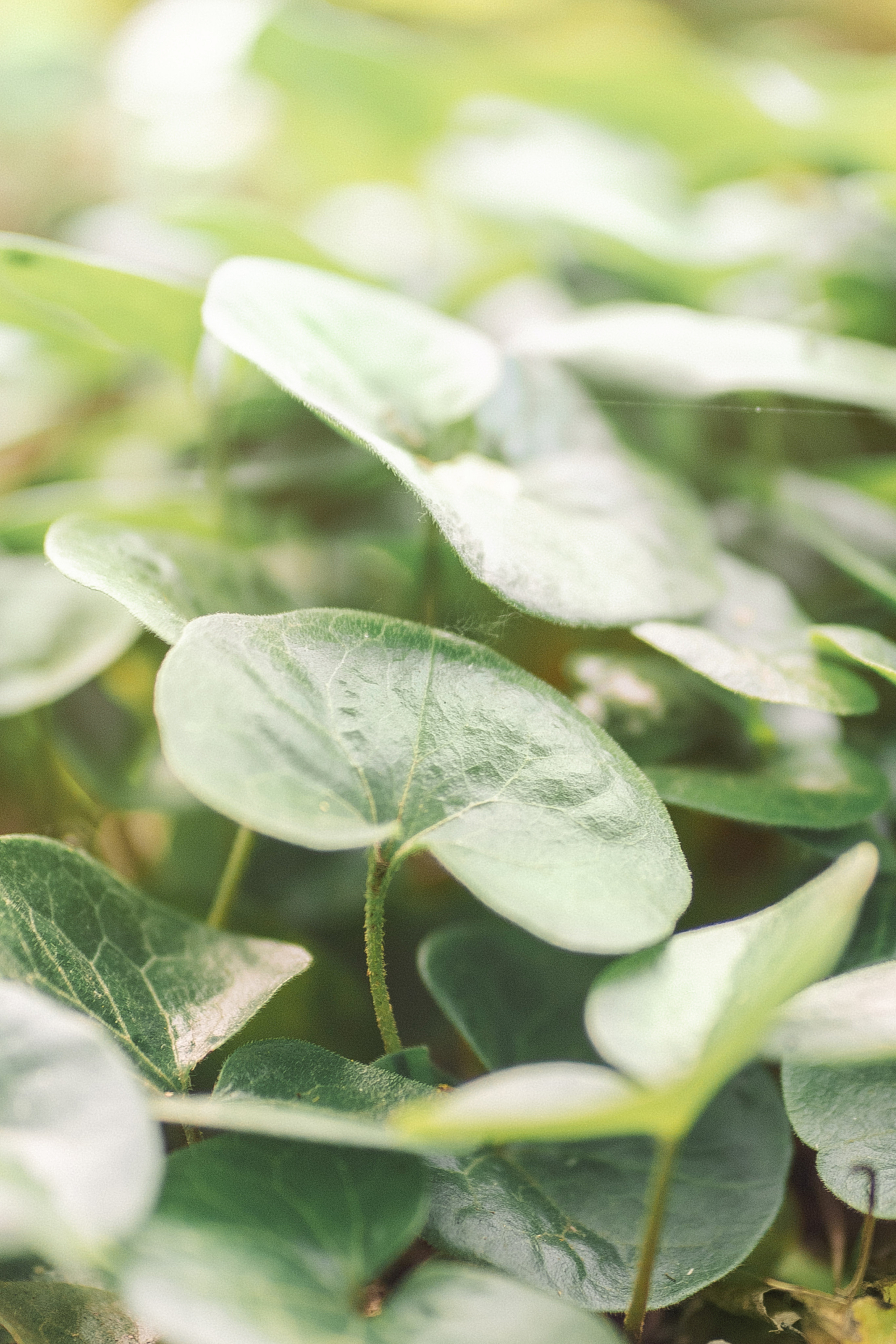 Свадебный фотограф Москва. Фотограф Москва — Павел Михайлов