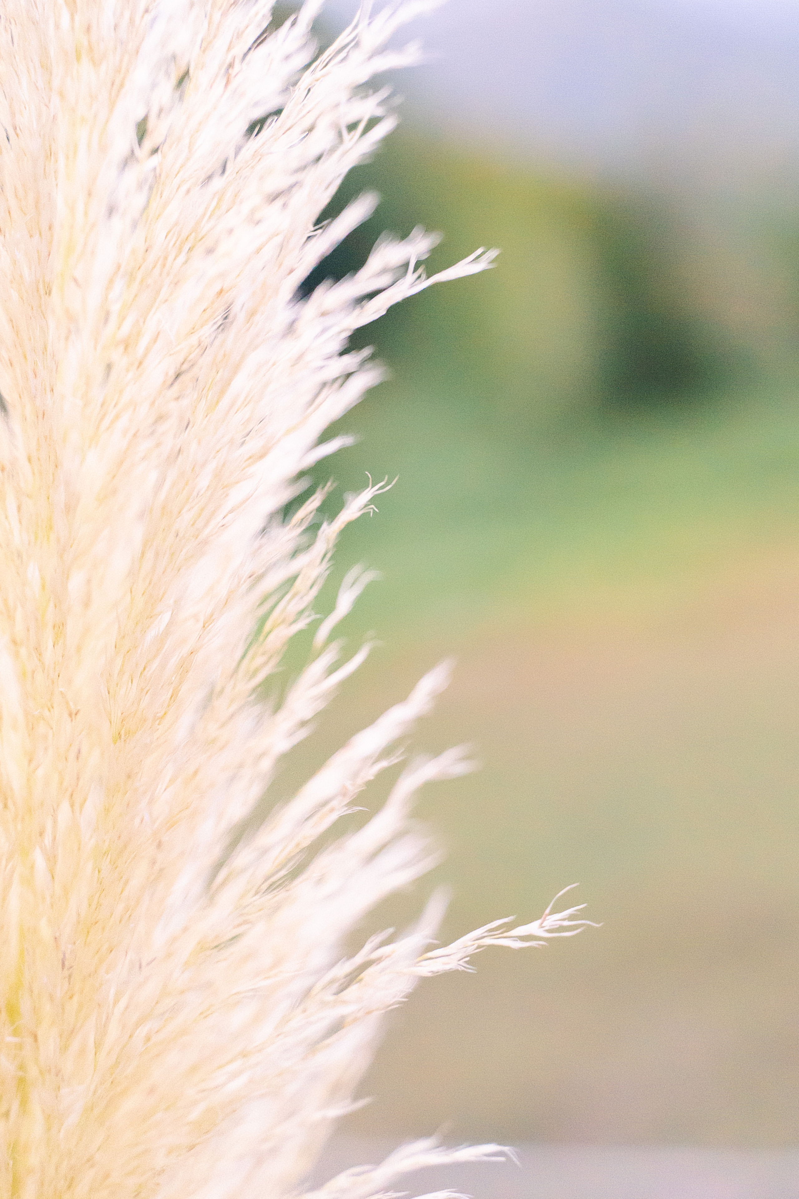 ЛИДА И ИЛЬЯ. Фотограф Москва — Павел Михайлов