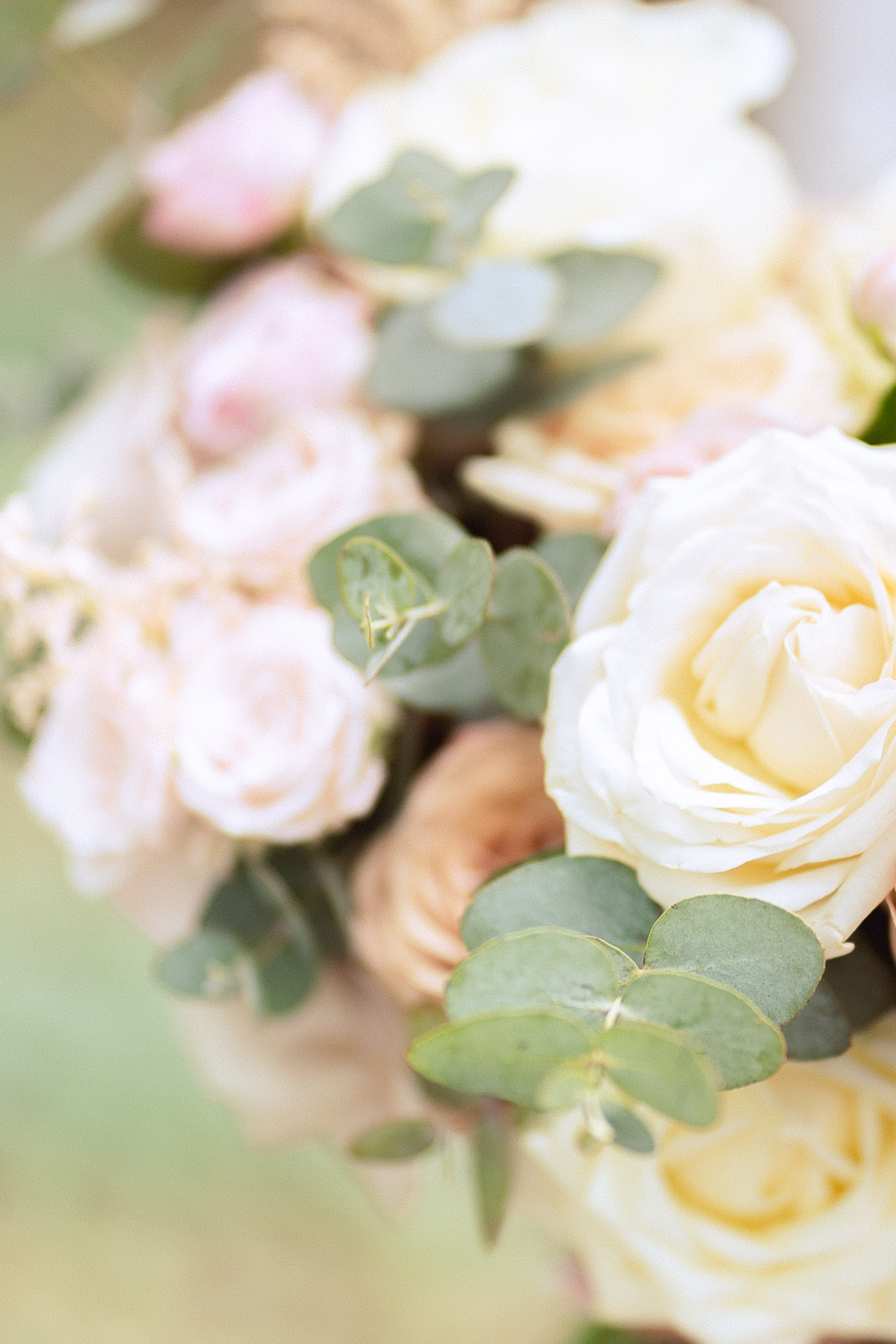 Свадебный фотограф Москва. Фотограф Москва — Павел Михайлов