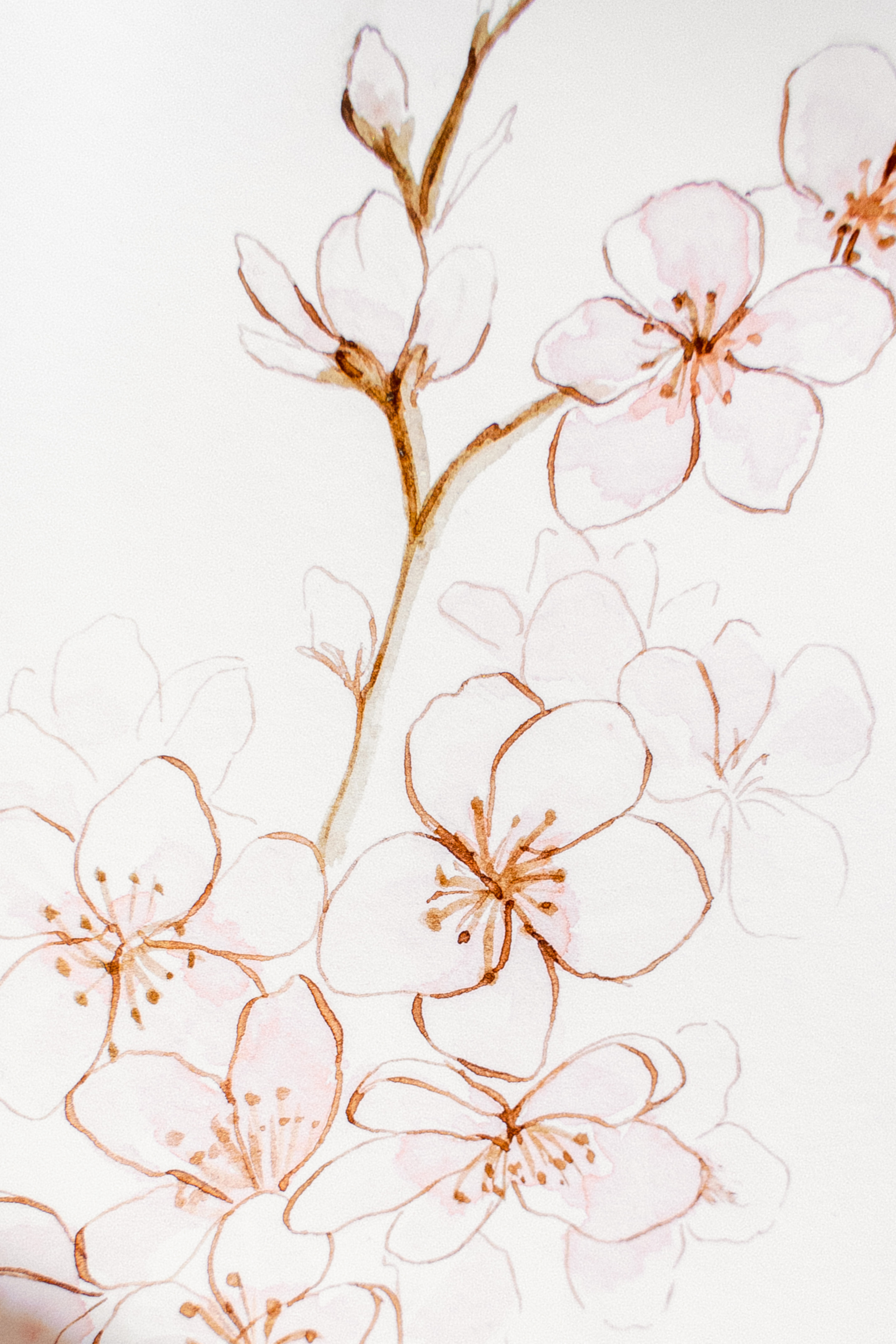 АНАСТАСИЯ И ОЛЕГ. Фотограф Москва — Павел Михайлов