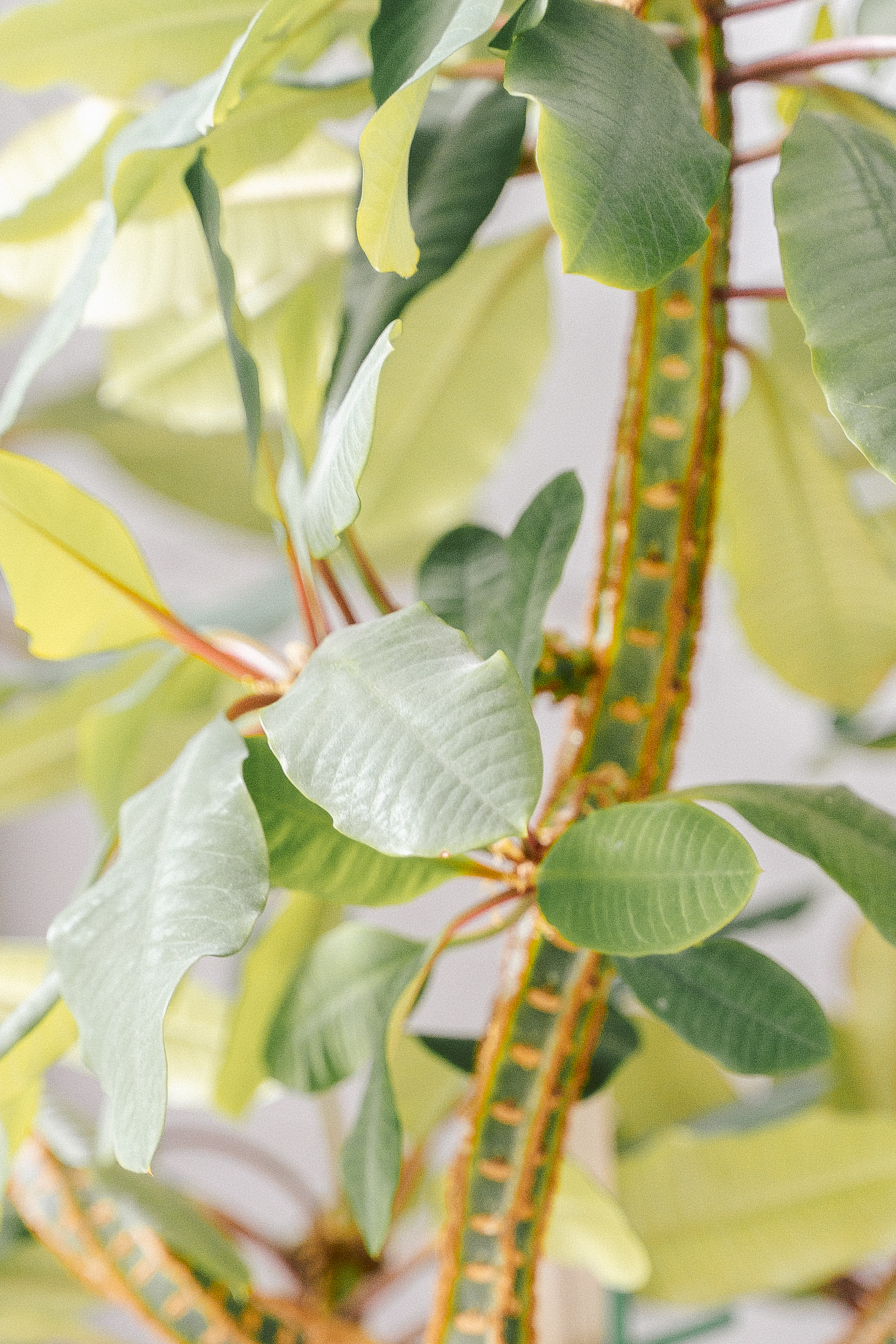 Свадебный фотограф Москва. Фотограф Москва — Павел Михайлов