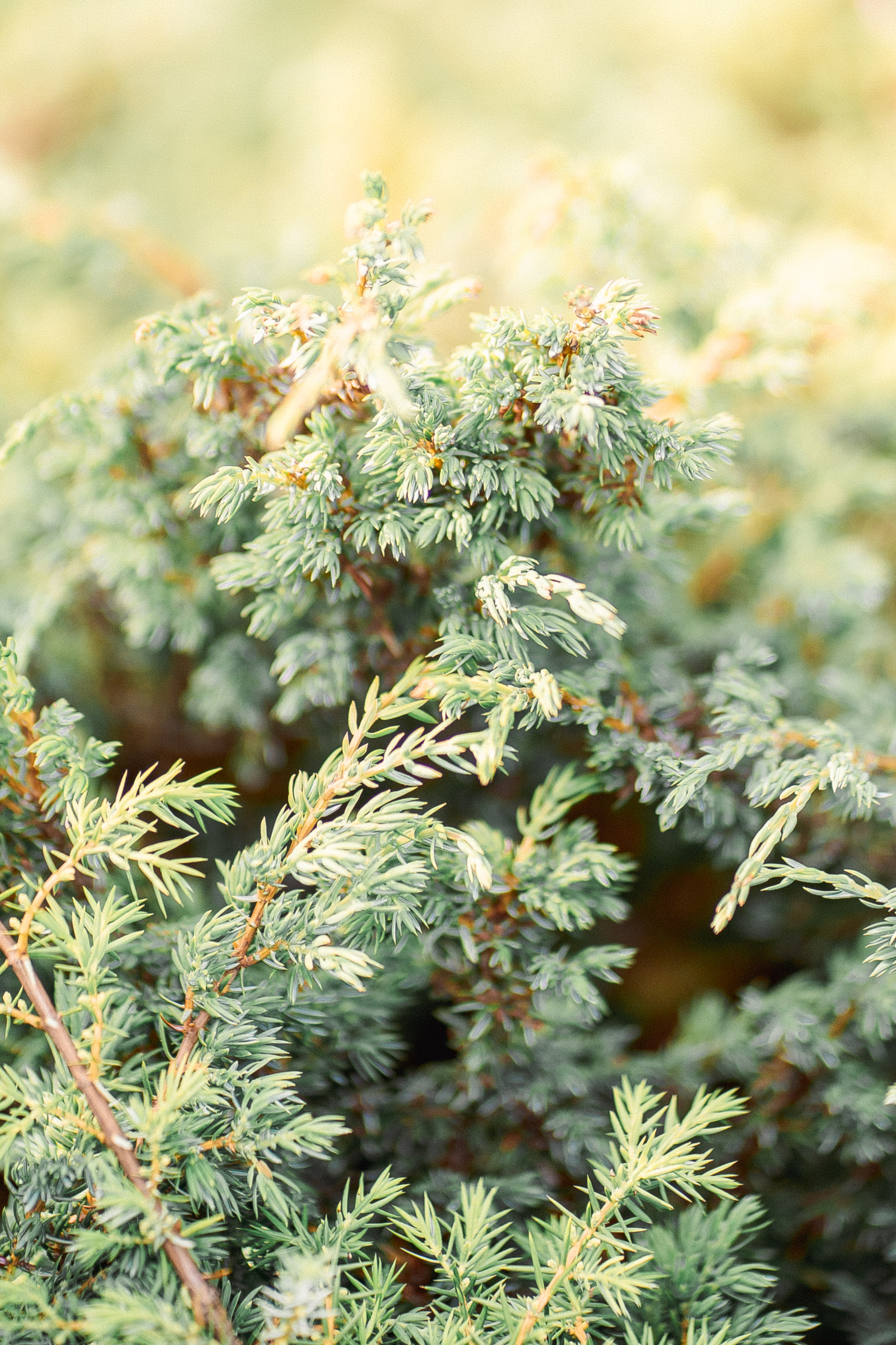 Свадебный фотограф Москва. Фотограф Москва — Павел Михайлов