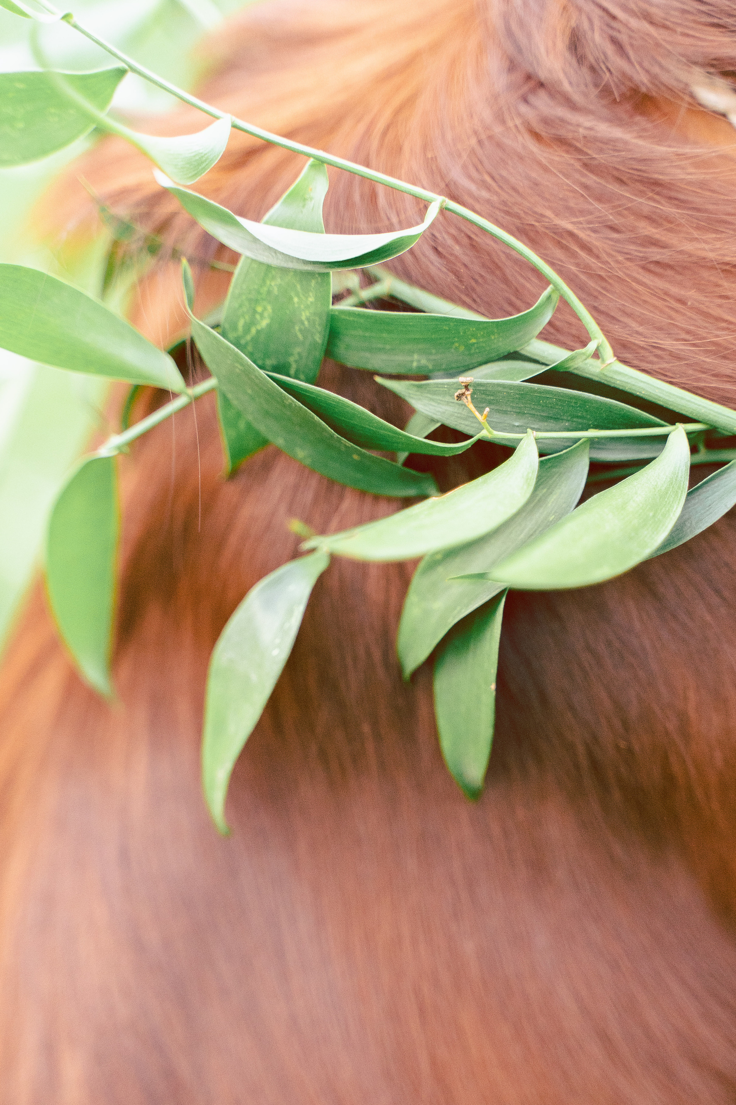 Свадебный фотограф Москва. Фотограф Москва — Павел Михайлов