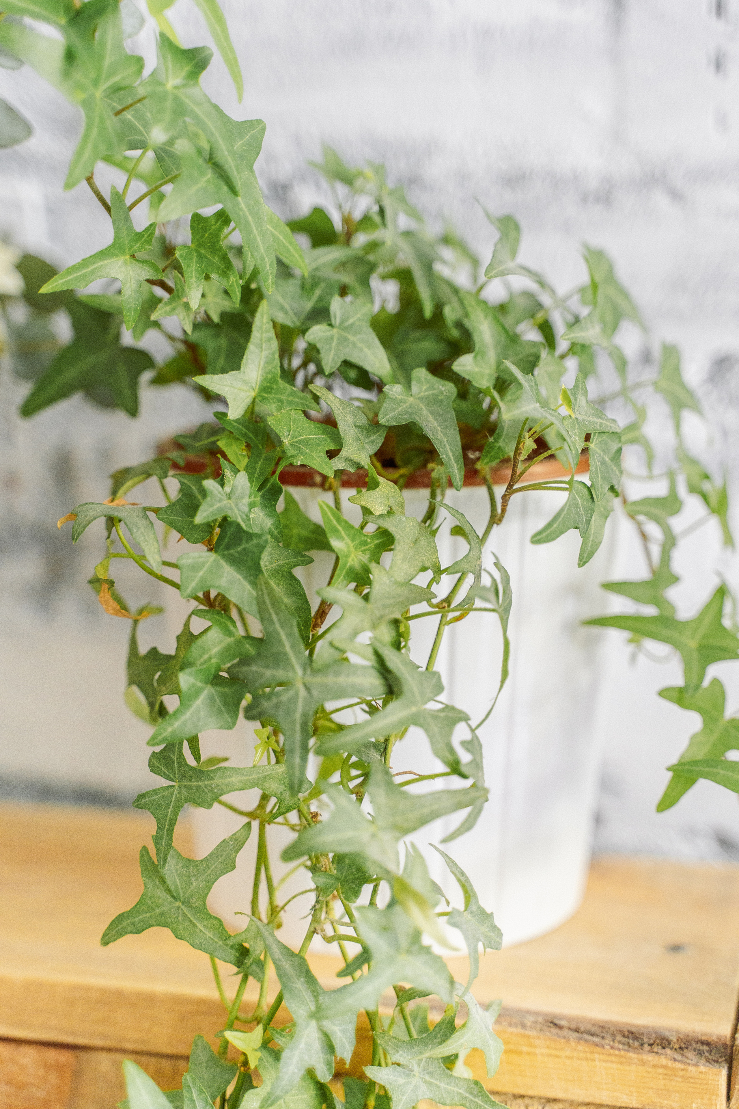 Свадебный фотограф Москва. Фотограф Москва — Павел Михайлов