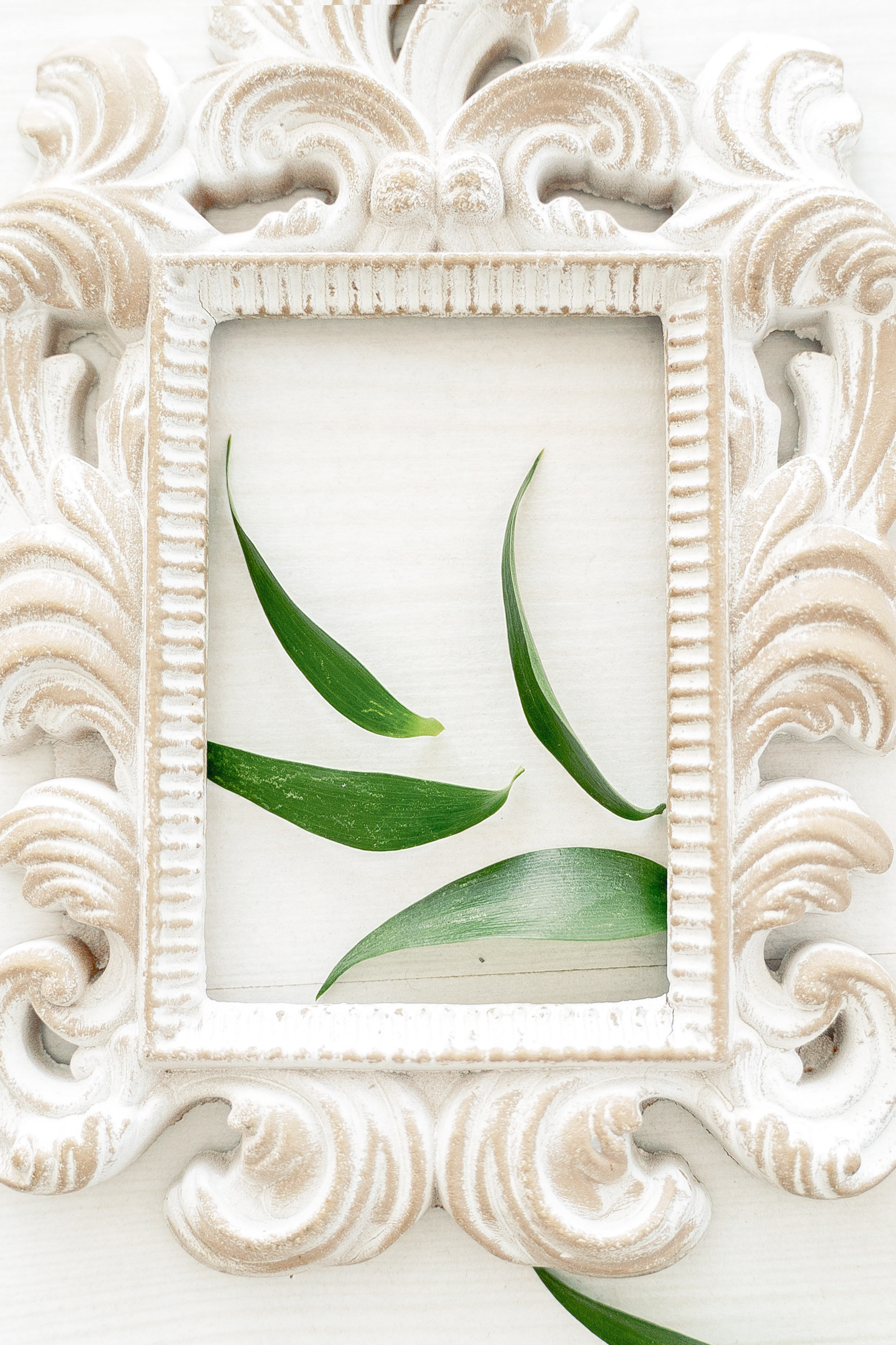 Свадебный фотограф Москва. Фотограф Москва — Павел Михайлов