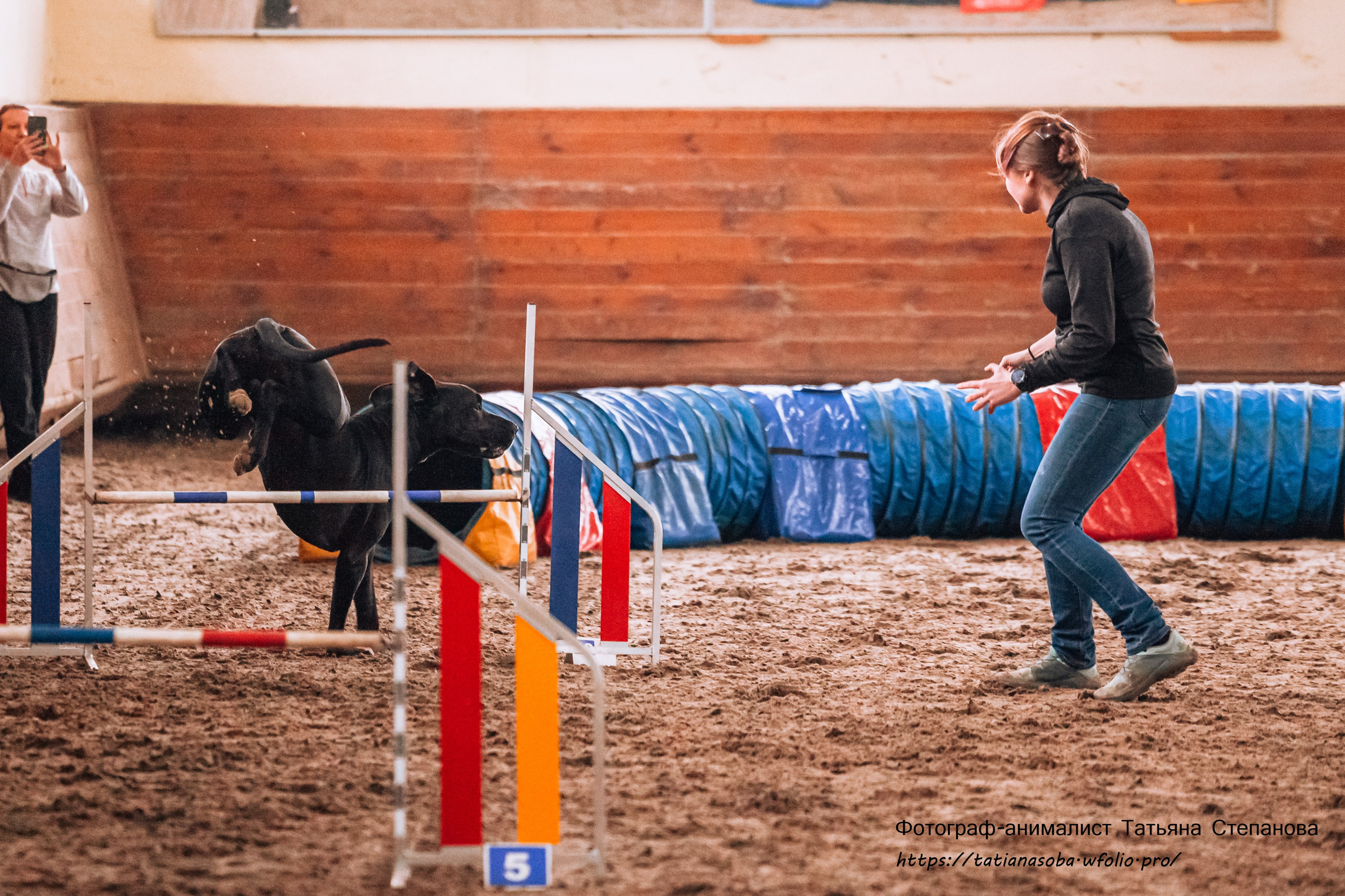 Соревнования по Аджилити 25.02.2024. Фотограф-анималист Татьяна Степанова