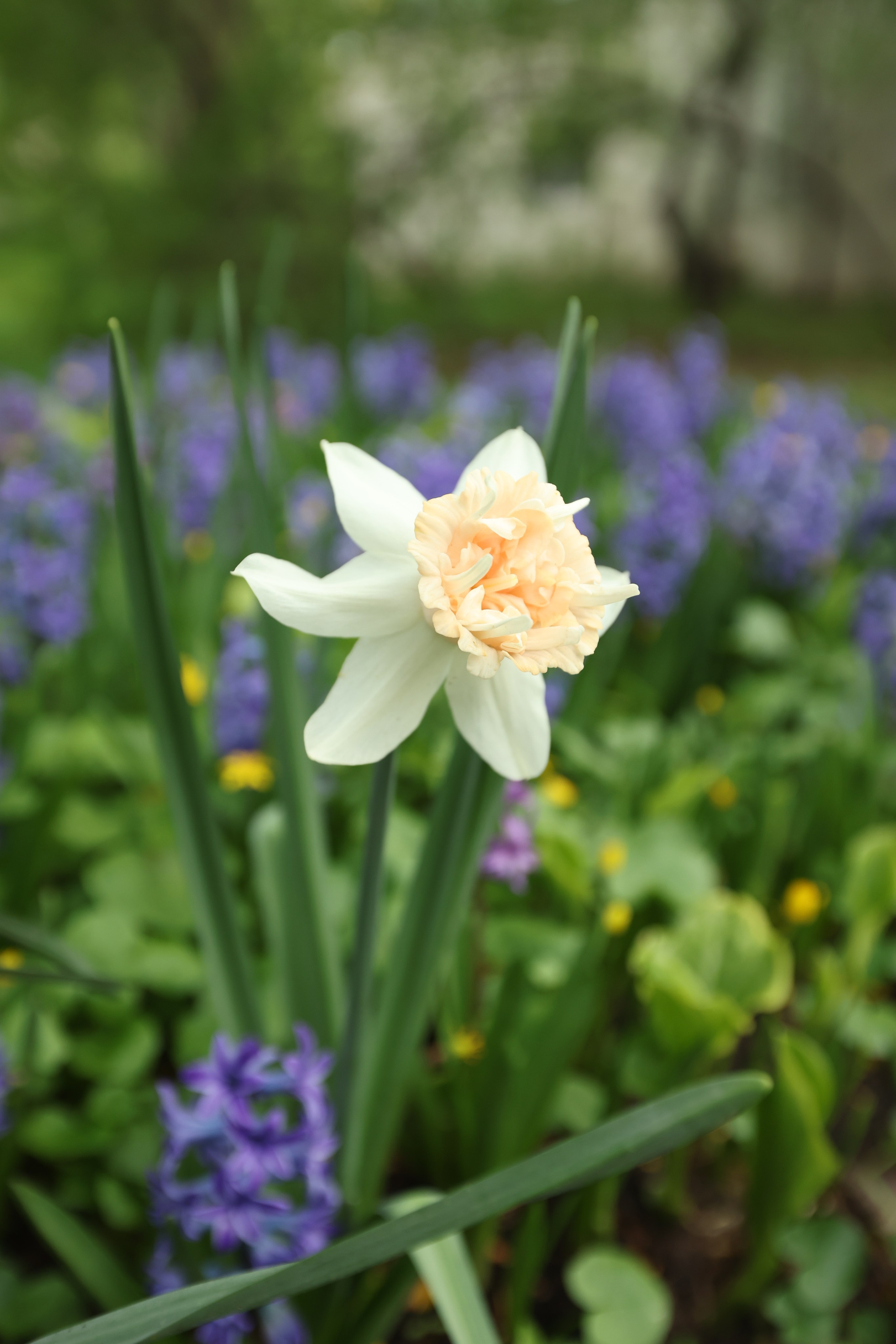 Фото Москвы. Студия Максима Белослюдцева