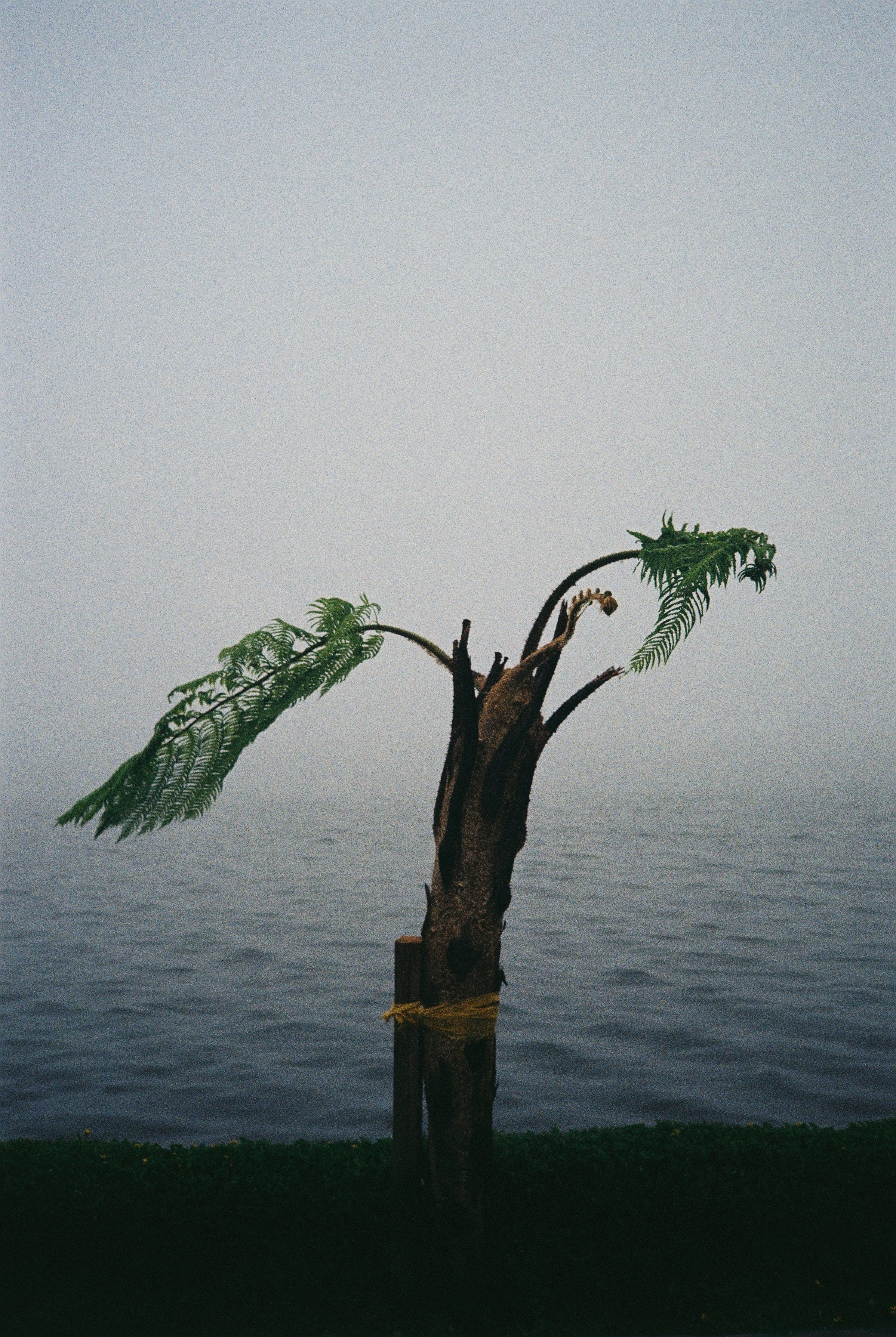 Asia. Olya Filina | Moscow Photographer