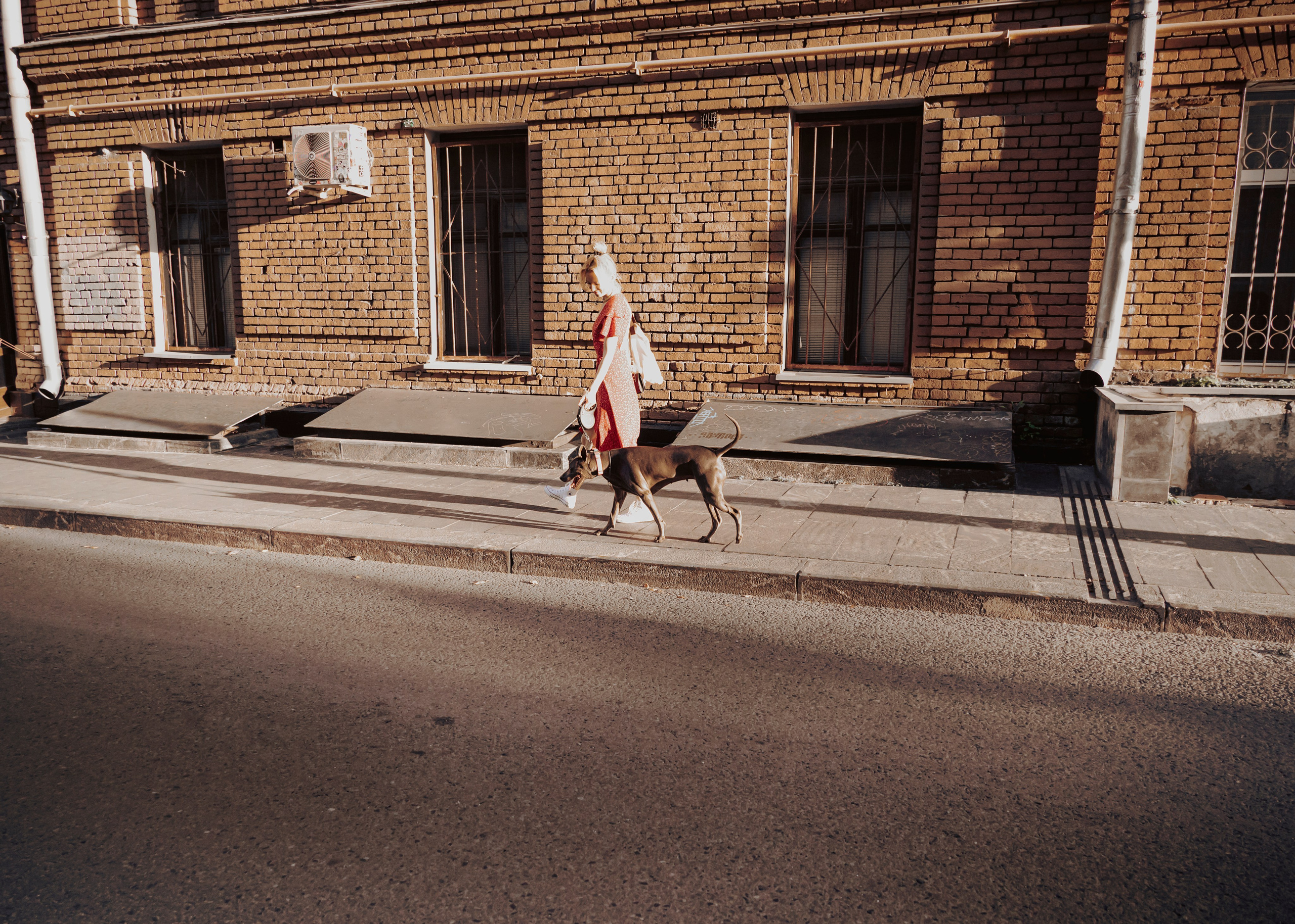 Шарма. Фотограф- анималист Александра Матвеева