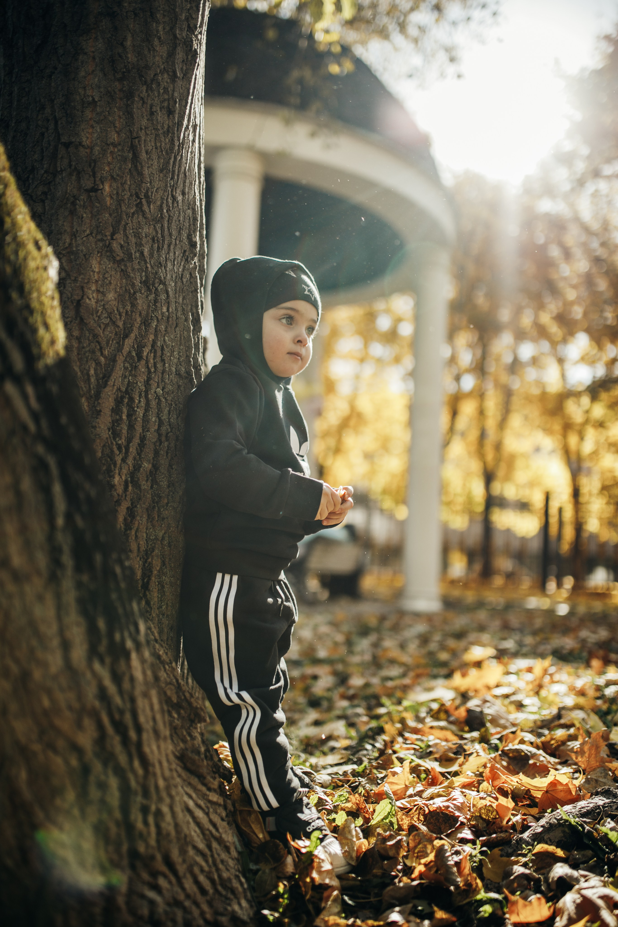 КОГДА ДЕРЕВЬЯ БЫЛИ БОЛЬШИМИ. Фотограф Лебедева Наталья