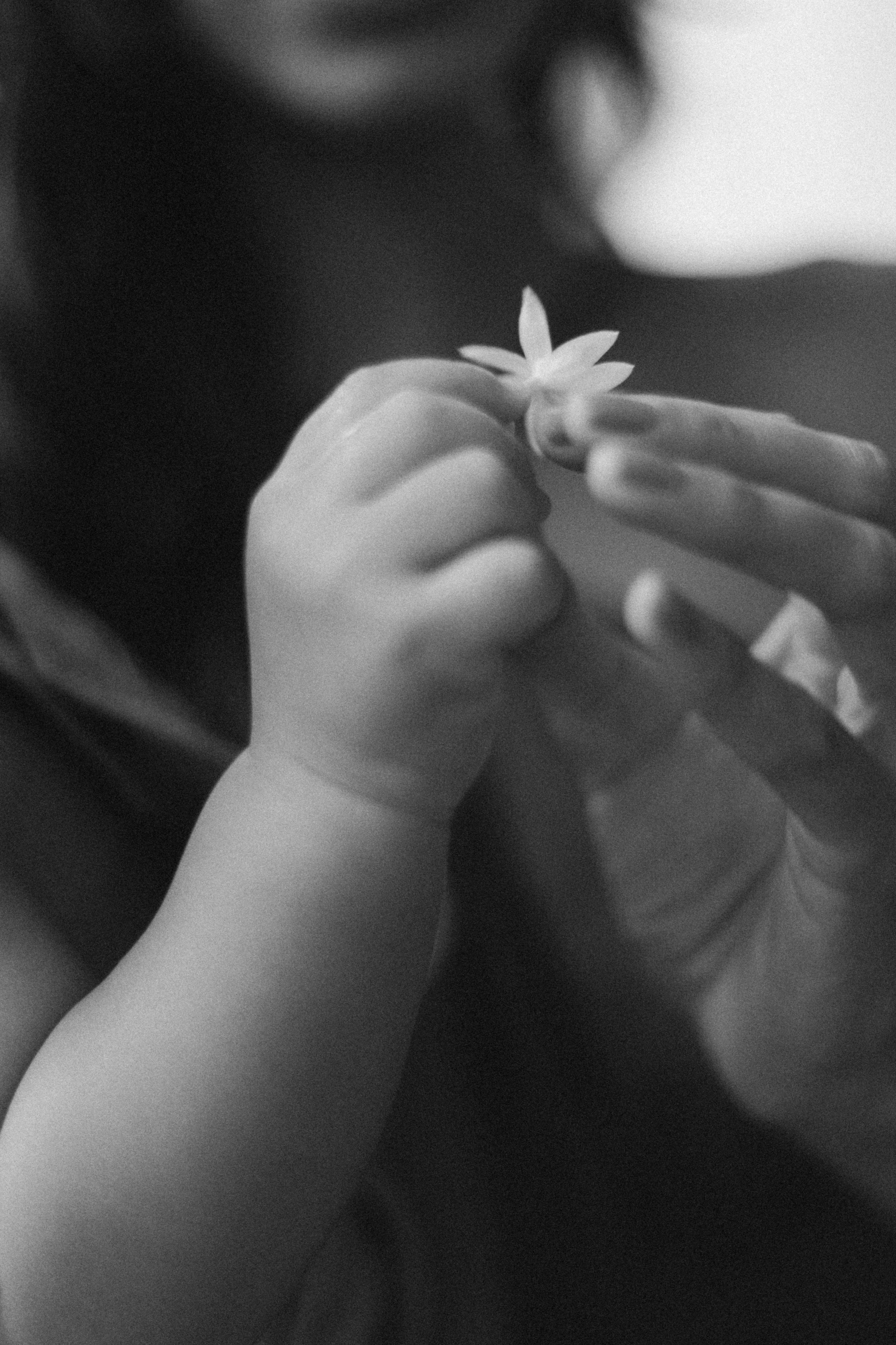 Karol + Kianu. Портретный фотограф / Панама / Анастасия Елизарова