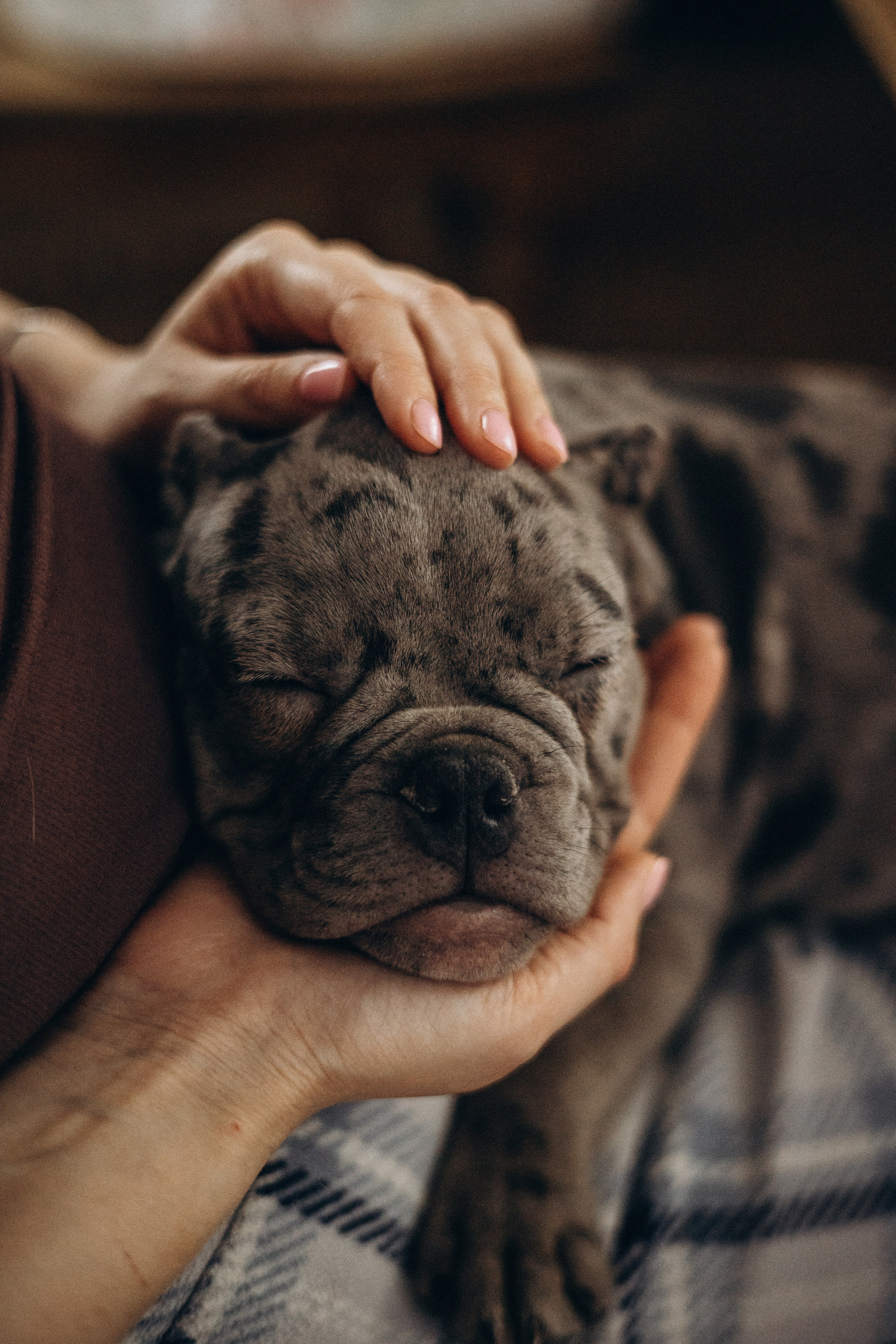 Семейная для Ксюши. Фотограф — Анималист | Санкт-Петербург