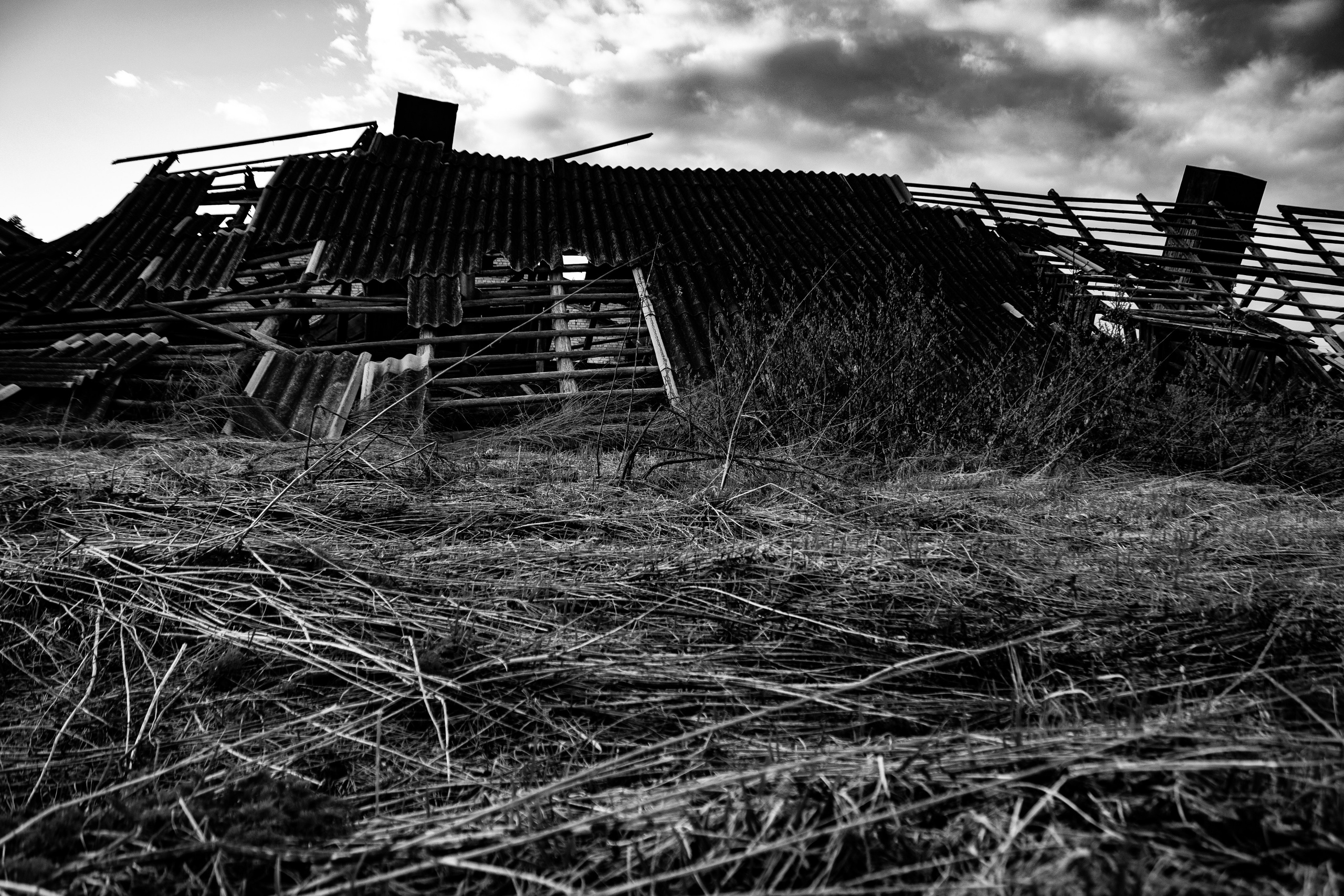 Вепсский ковчег. Полина Щапова БМК235 Медиаком — НИУ ВШЭ