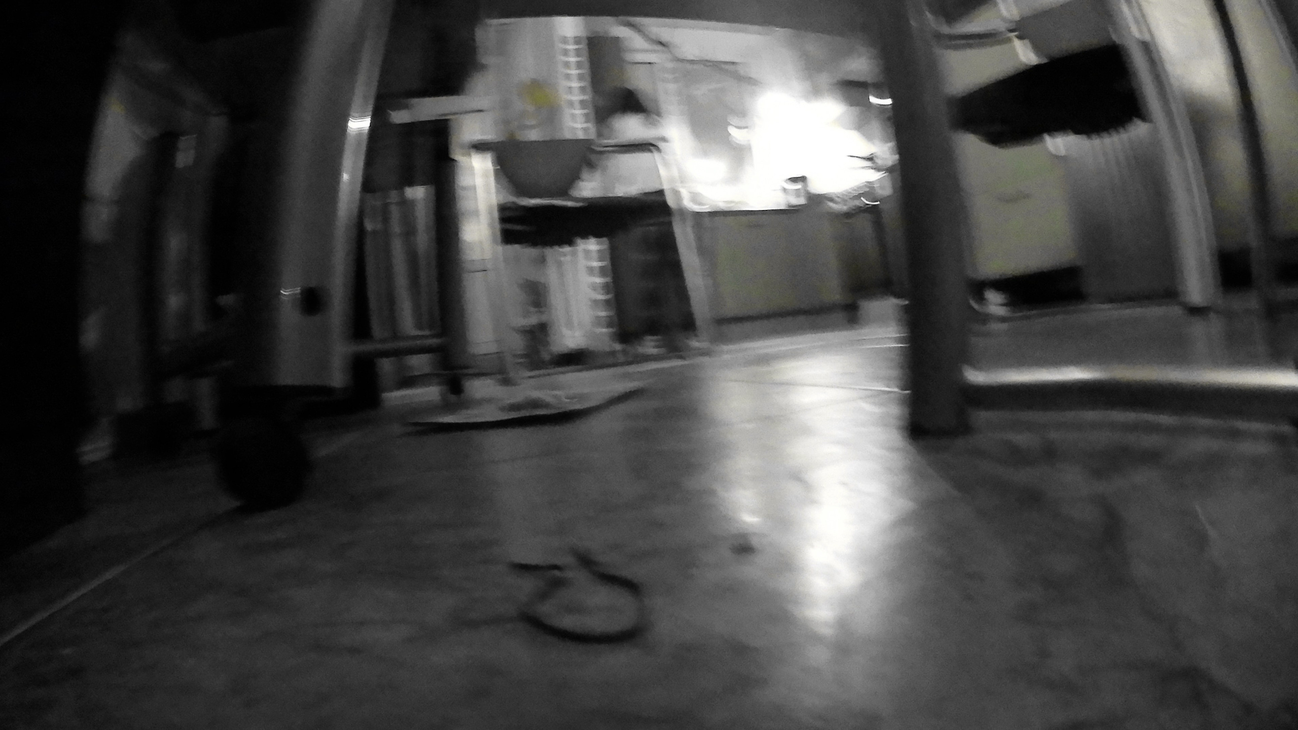 Гости. Fedor Kalinin