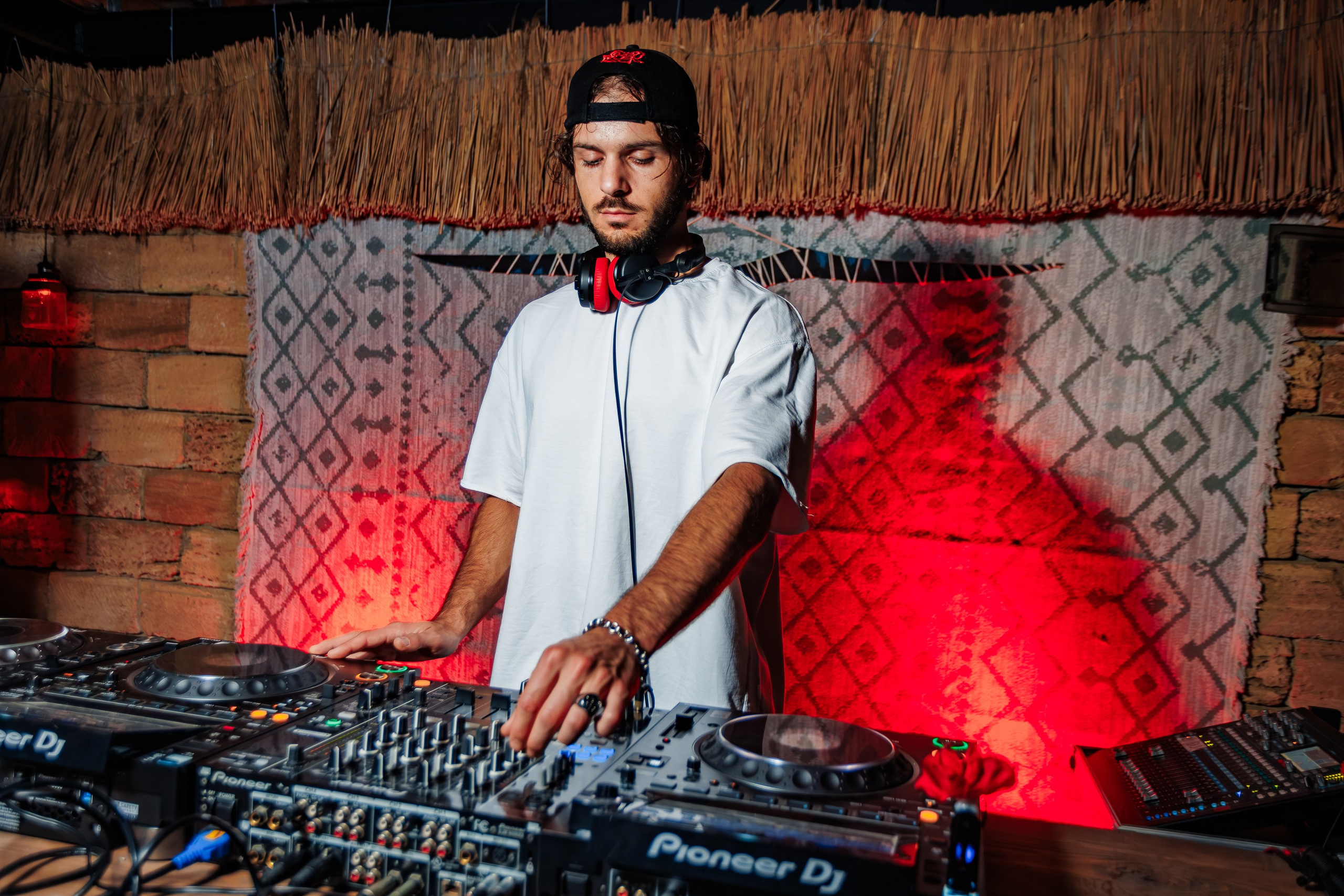 «Митя Фомин"_Чайка на пляже_Ялта_28.06.2025 г. Аминов Руслан | Фотограф