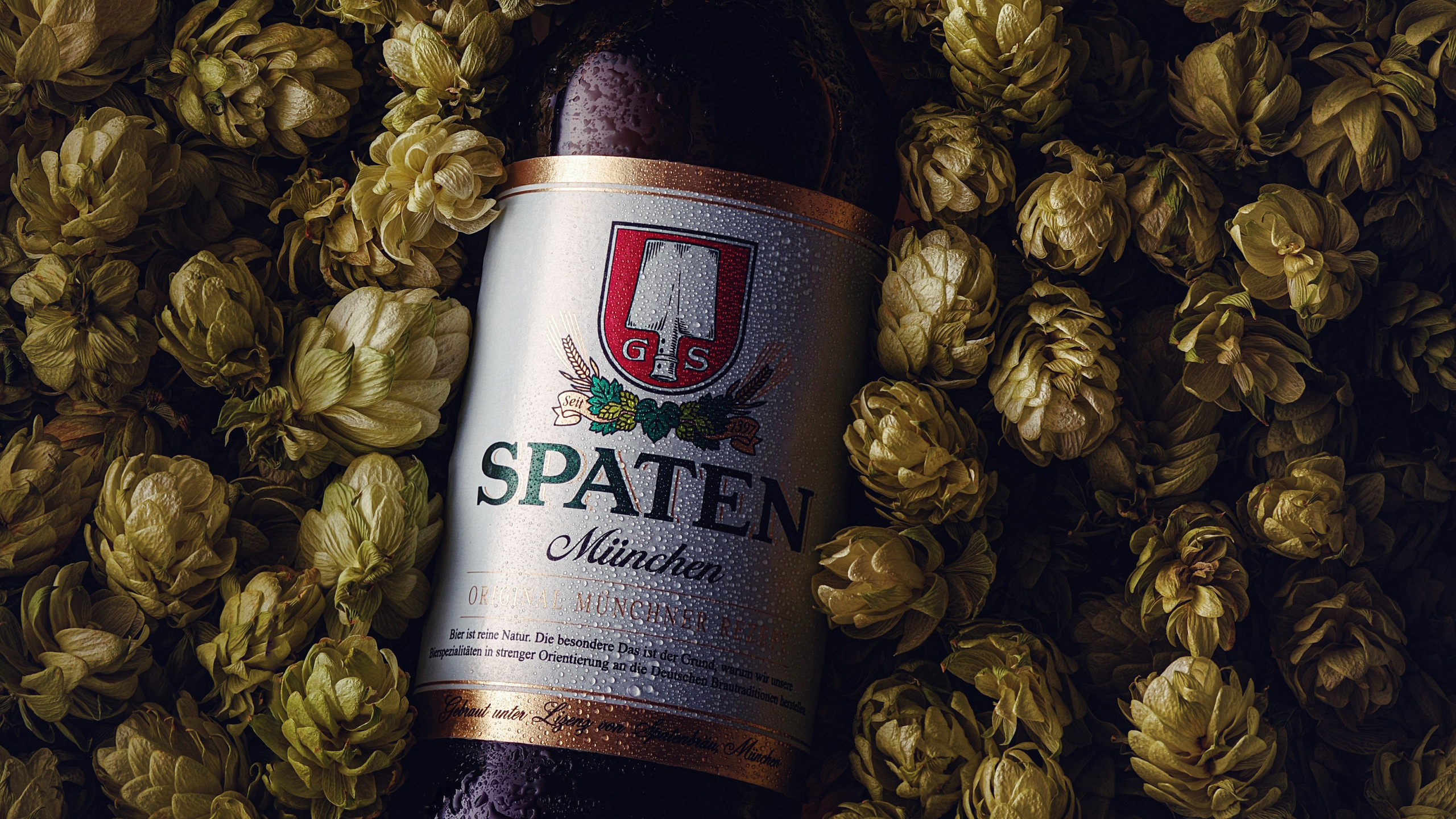 Напитки и пиво в Ростове-на-Дону