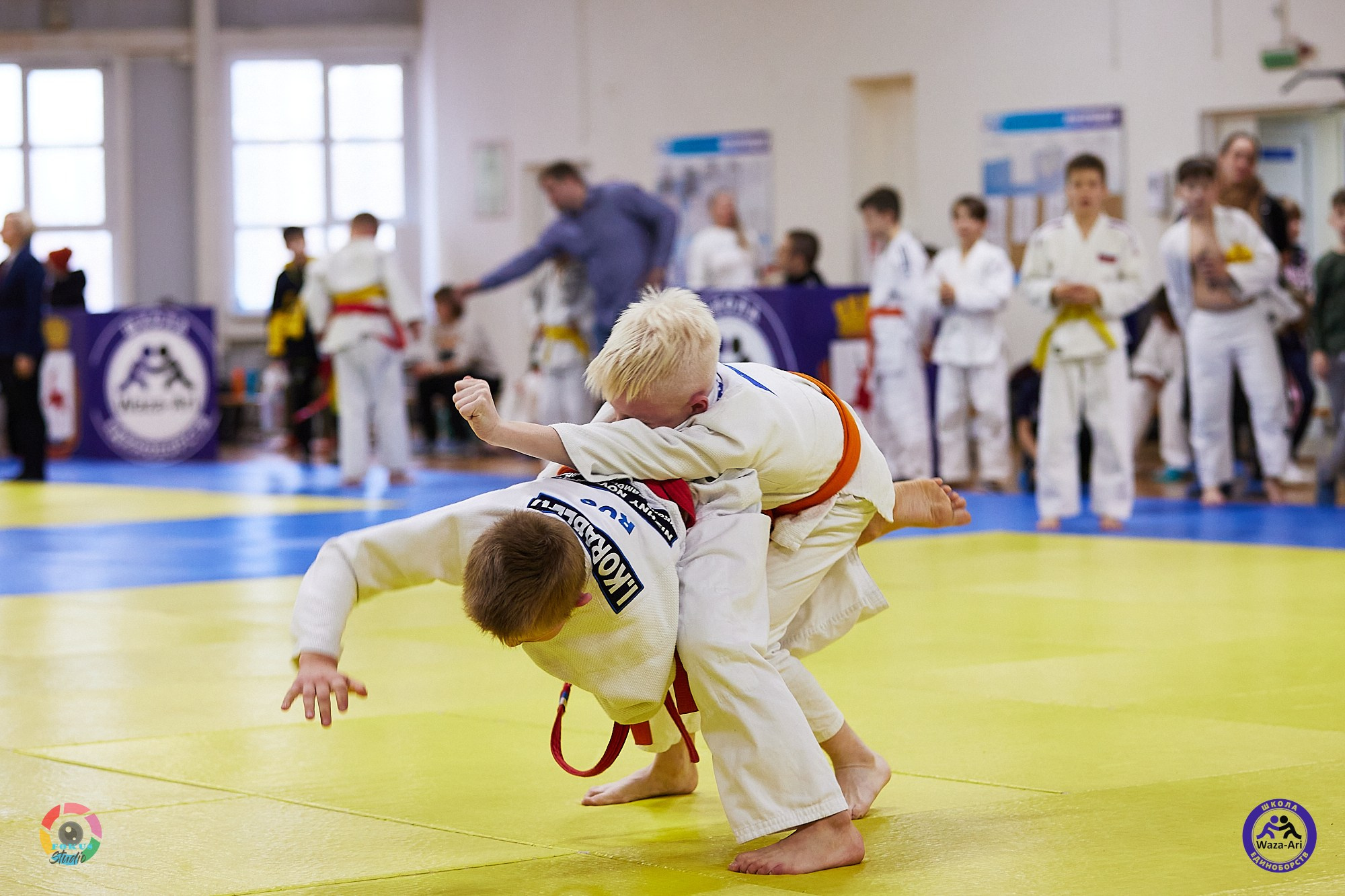 Репортаж Турнир по дзюдо. Спортивный фотограф Некрасов Денис
