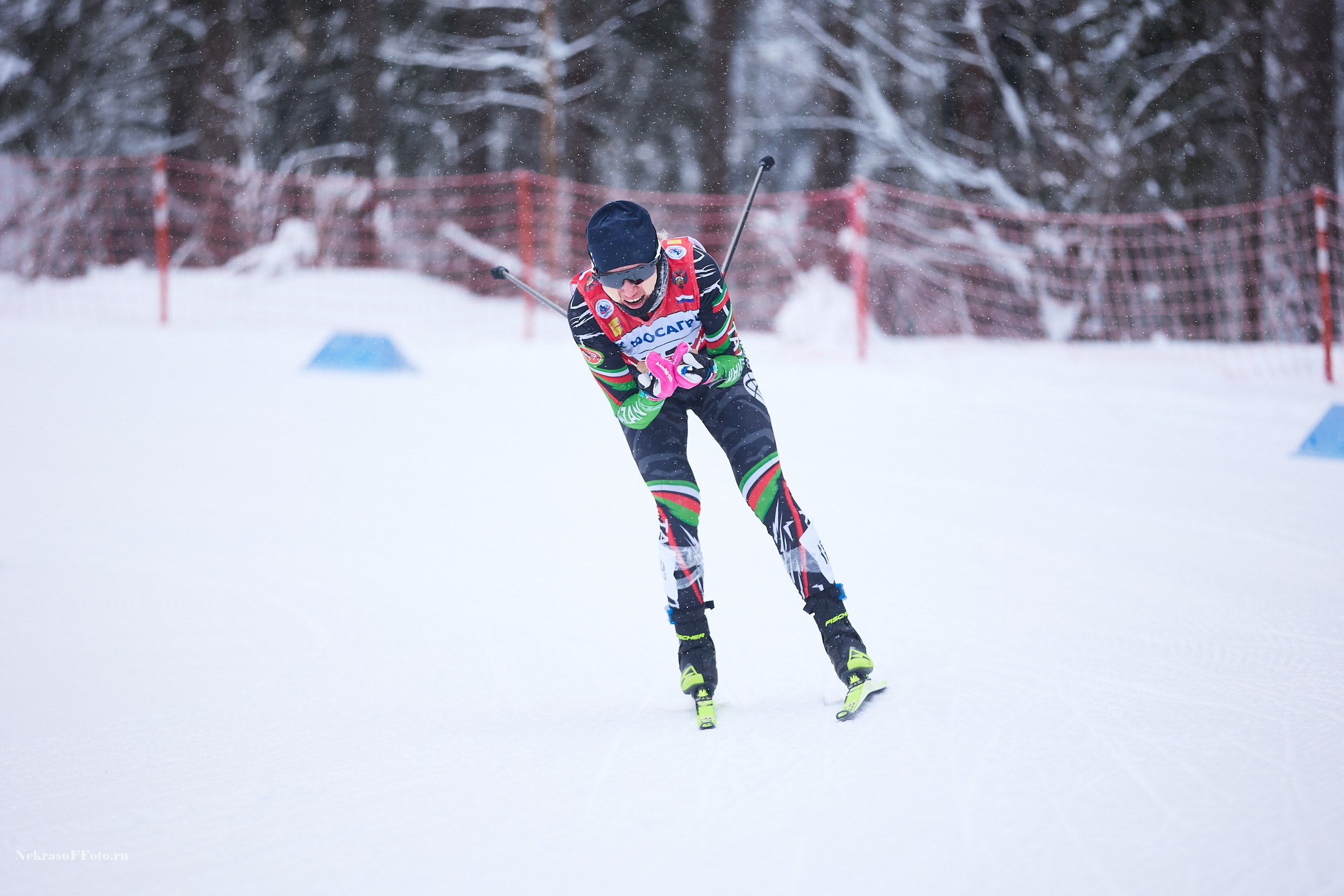 Кубок России по Лыжным гонкам. Спортивный фотограф Некрасов Денис